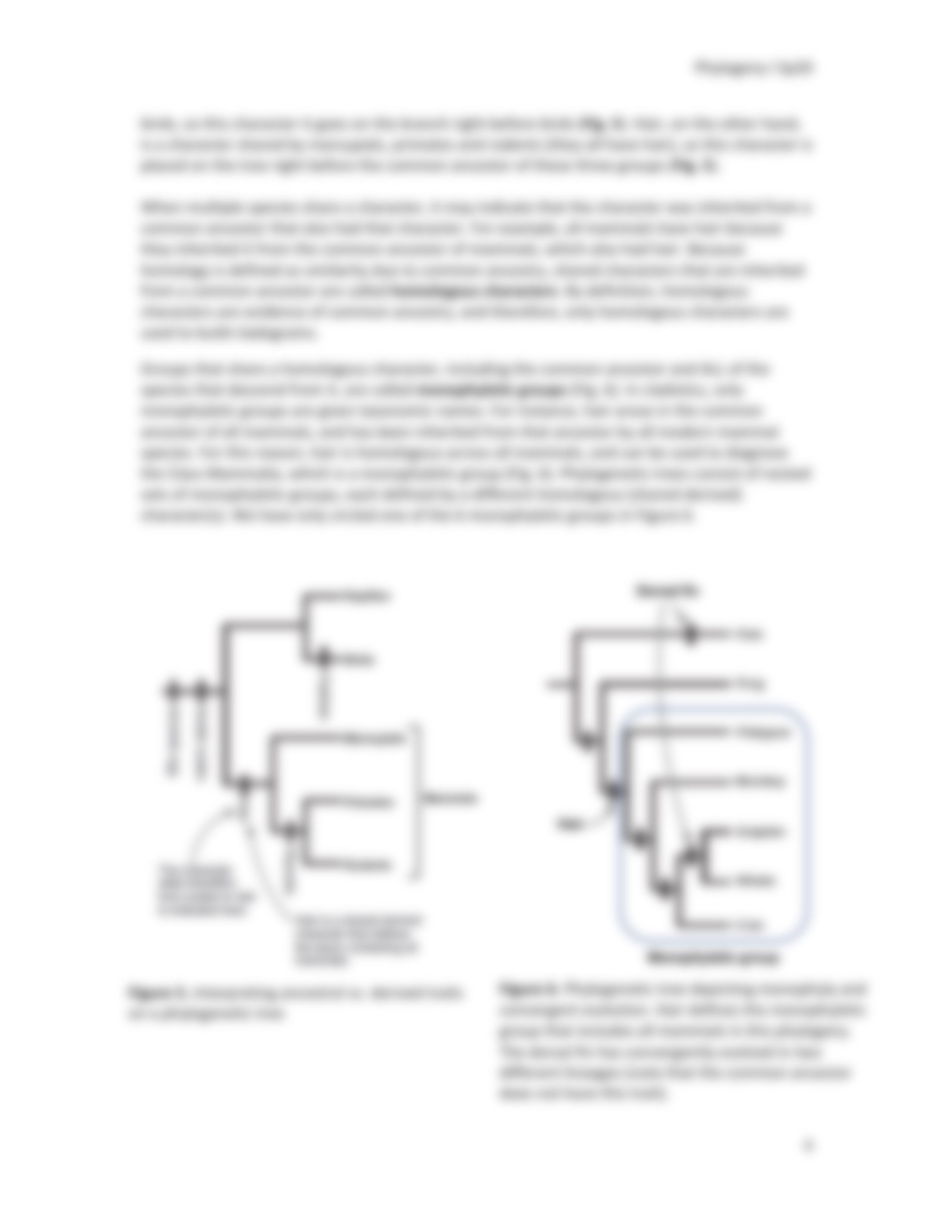 PRINT ME_ Phylogeny week1 Sp20 (1).pdf_d3do95tom9l_page4