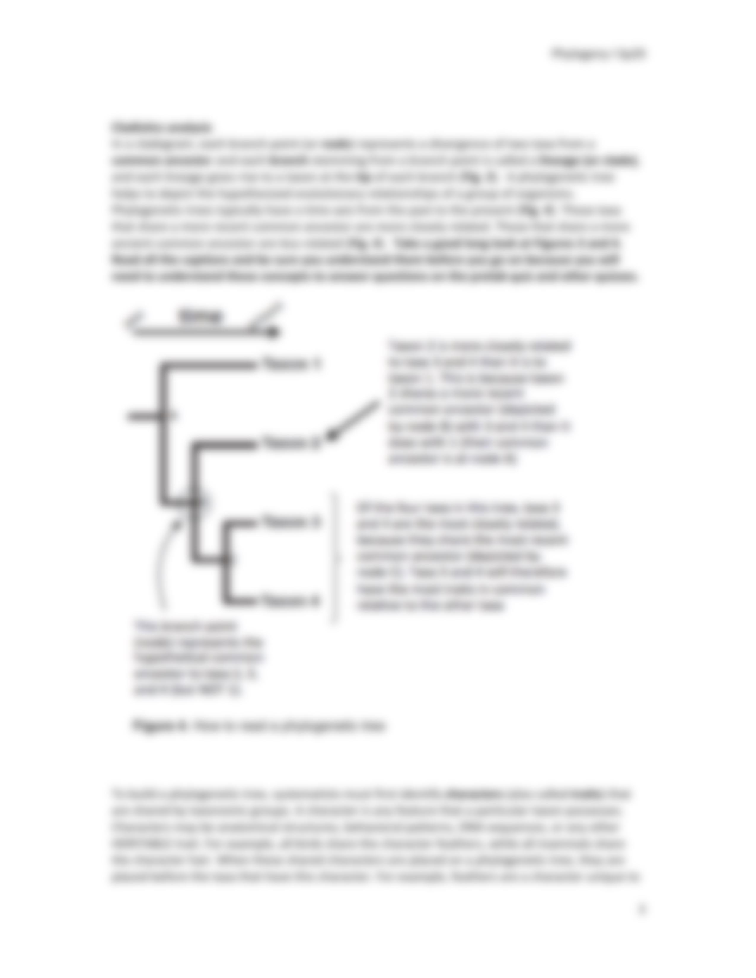 PRINT ME_ Phylogeny week1 Sp20 (1).pdf_d3do95tom9l_page3