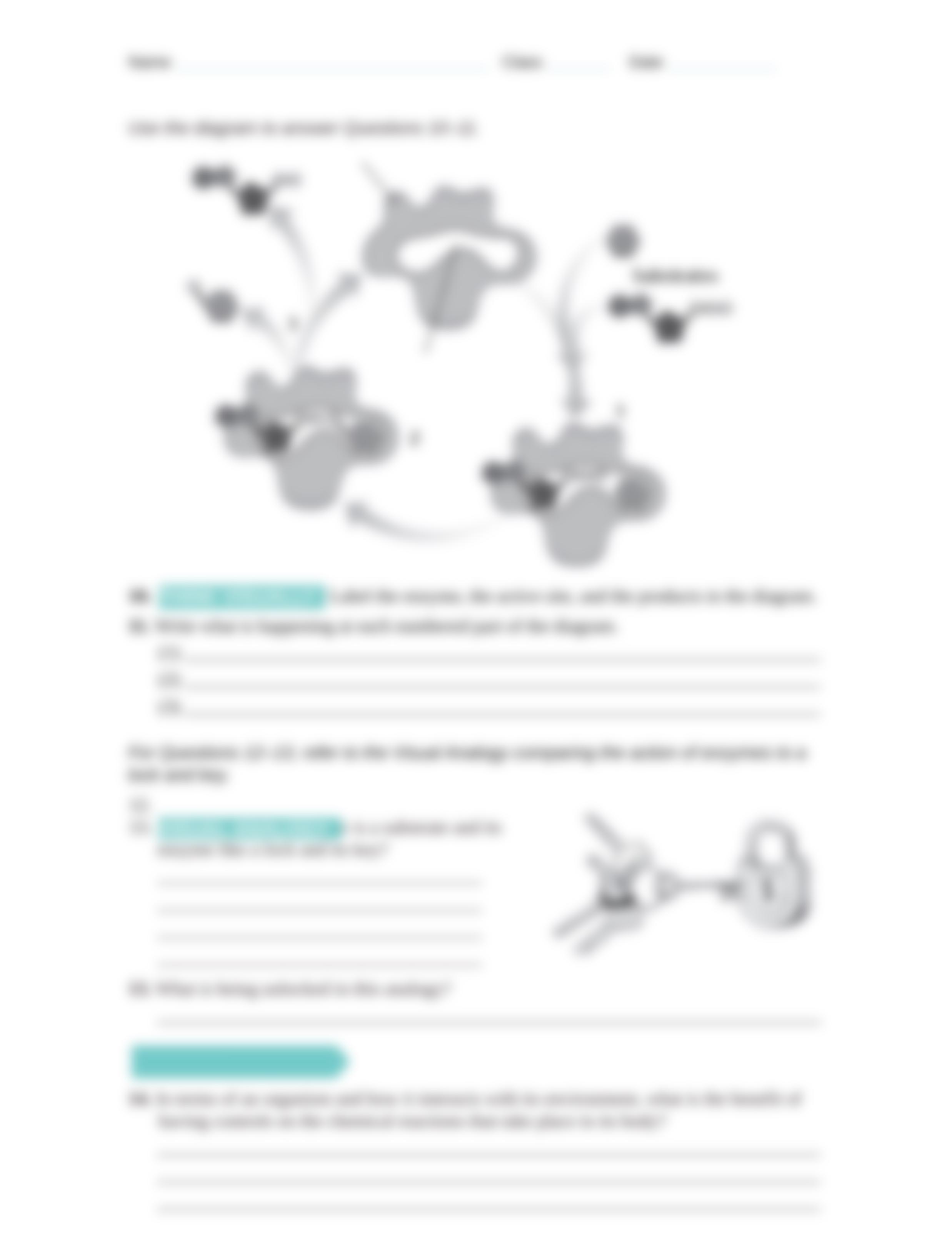 Chemical Reactions and Enzymes Worksheet_d3ehn5nx7aj_page3