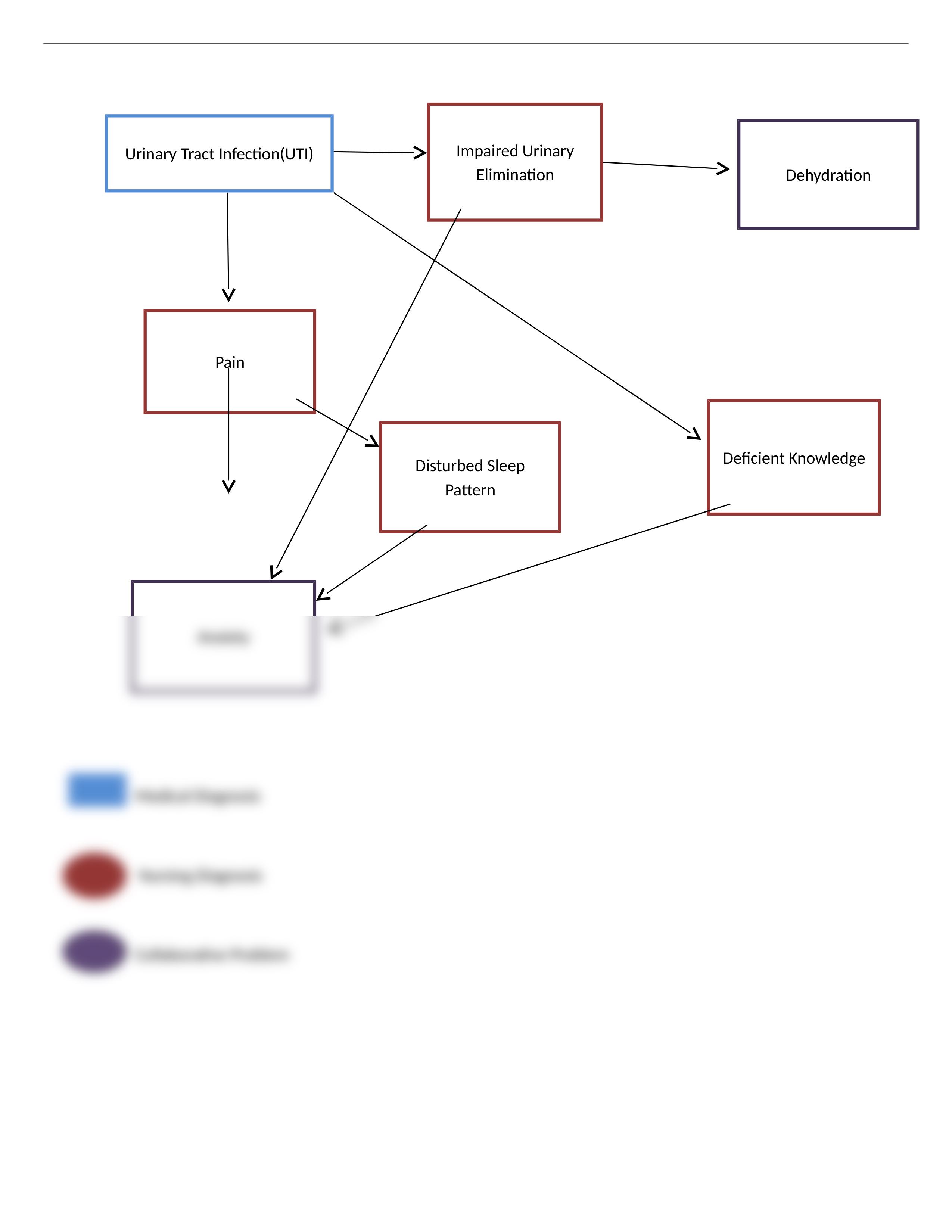 Nursing Care-Concept Map-UTI.docx_d3lph5xtpsn_page1