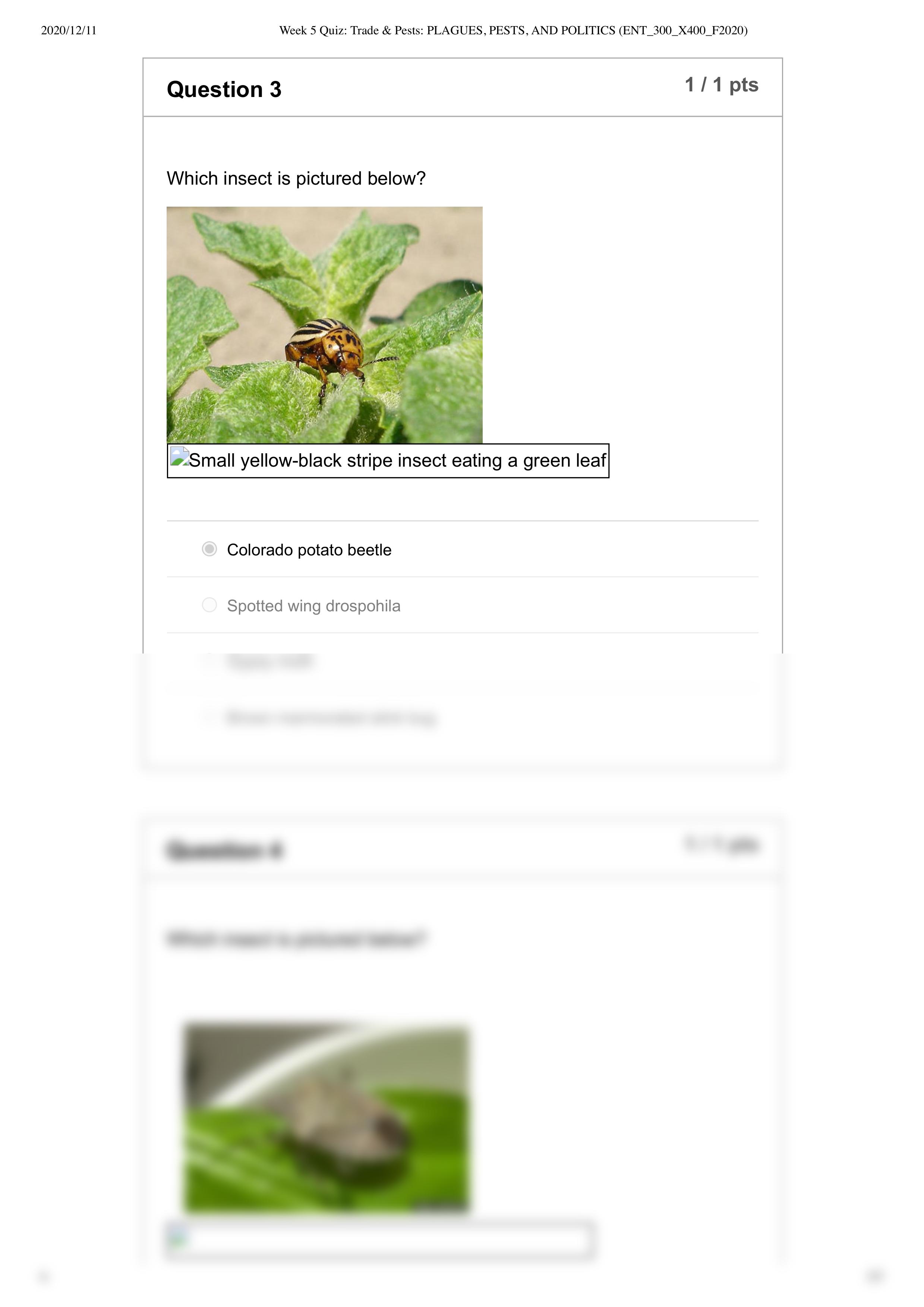 Week 5 Quiz_ Trade & Pests_ PLAGUES, PESTS, AND POLITICS (ENT_300_X400_F2020).pdf_d3oao7esjjl_page2