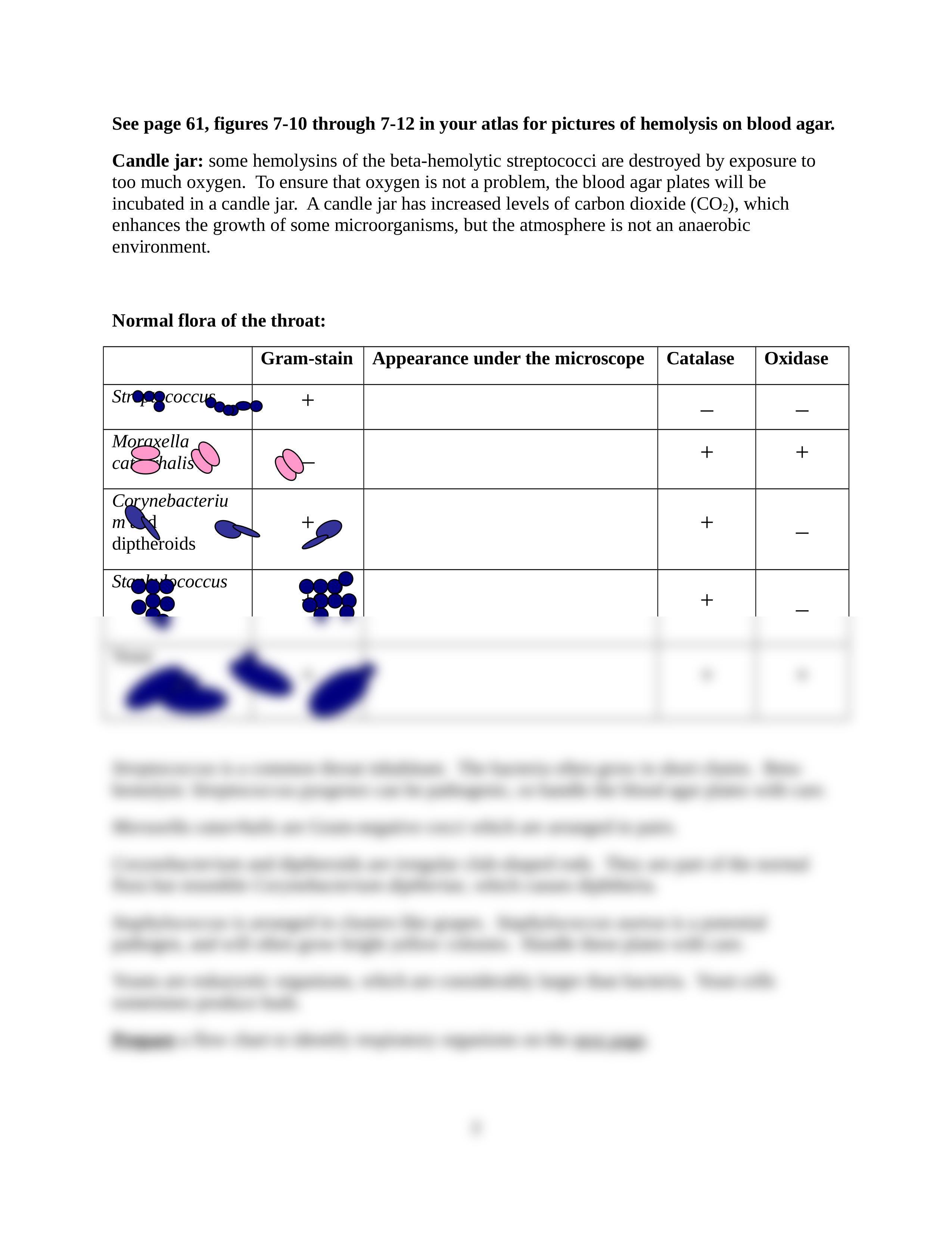 Chapter 22 Respiratory Microorganisms_d3pnrpapll4_page2