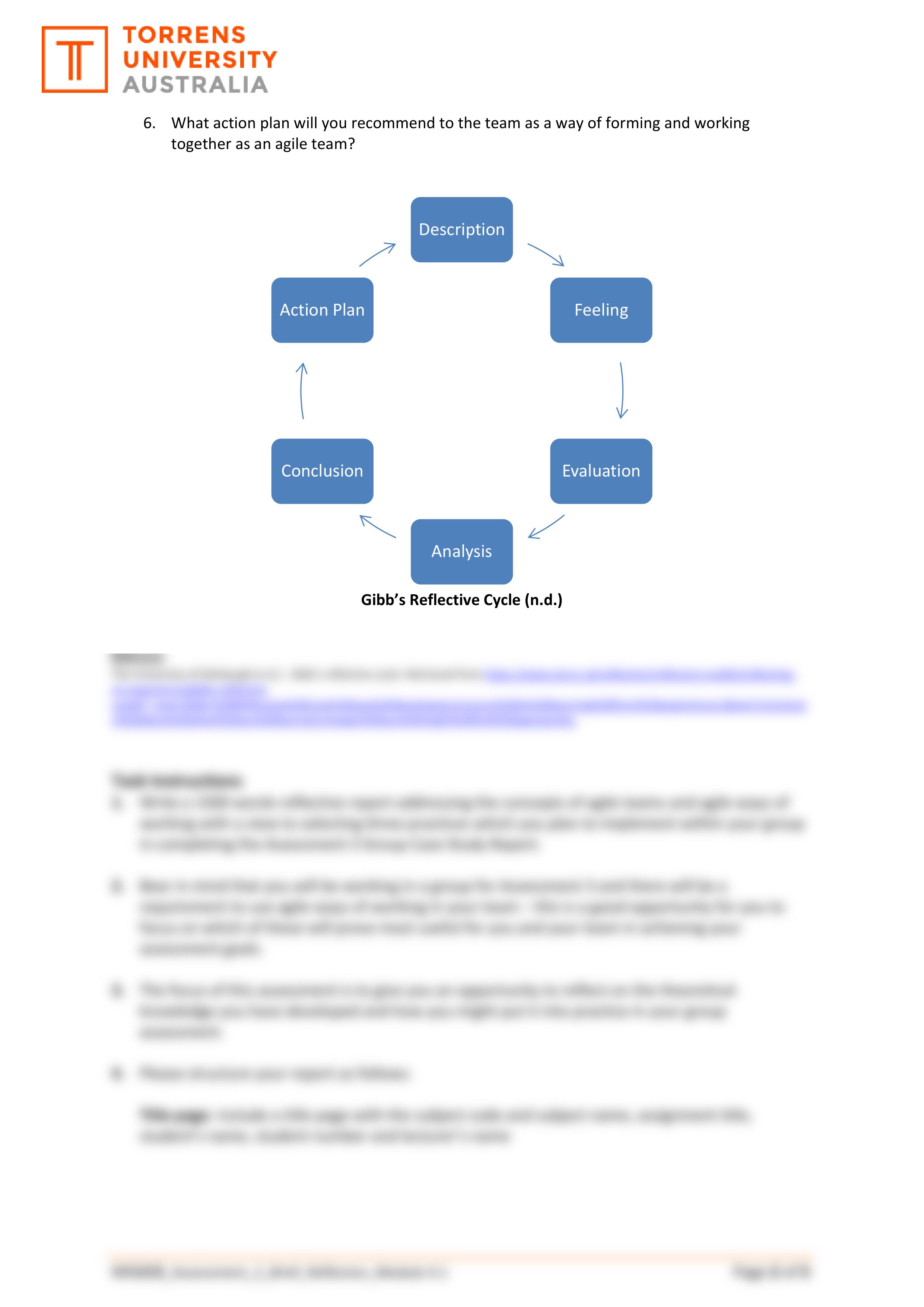 MIS608_Assessment 2 Brief_Reflection_Module 4.1_Final.pdf_d3s8ak74er9_page2