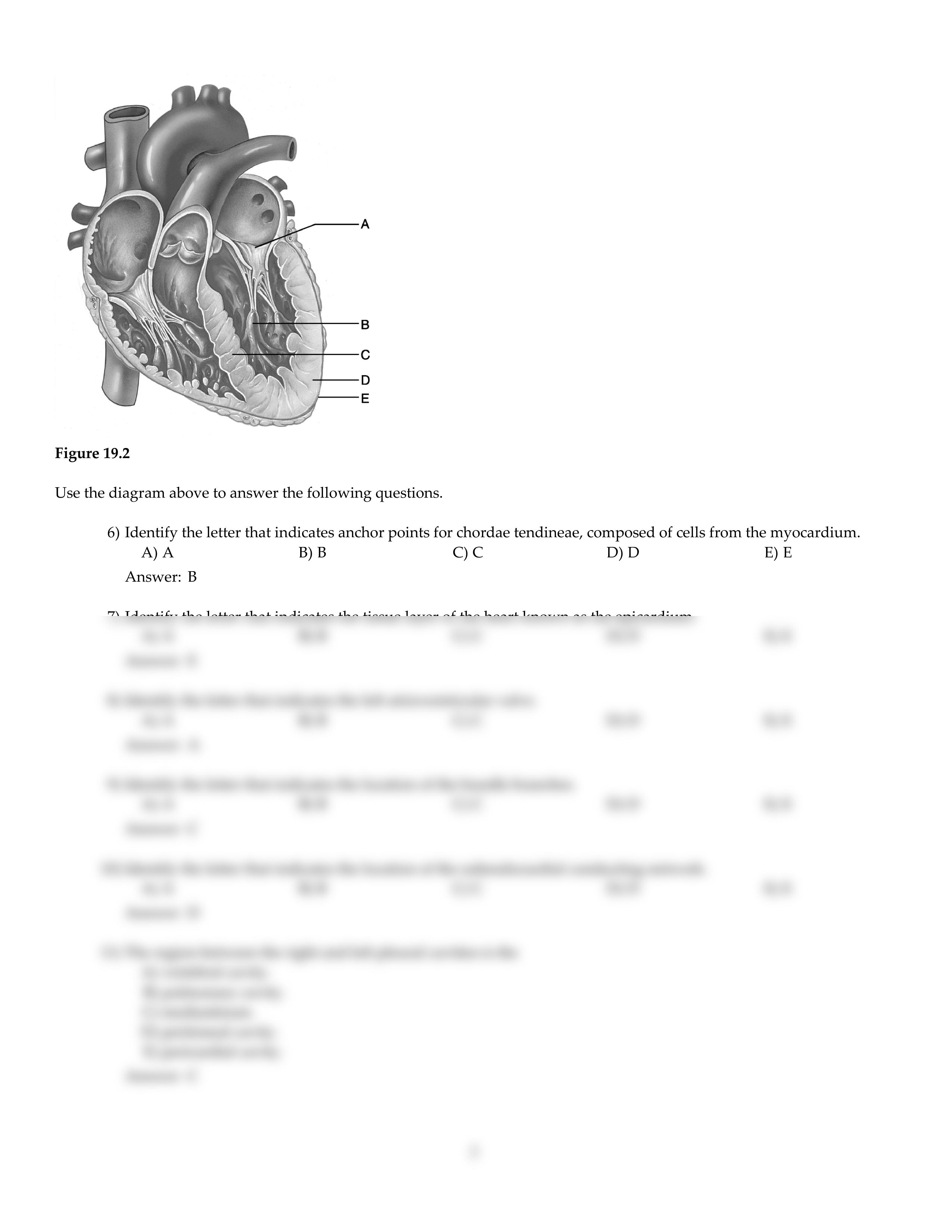 CH19.pdf_d3xdtl5cln4_page2