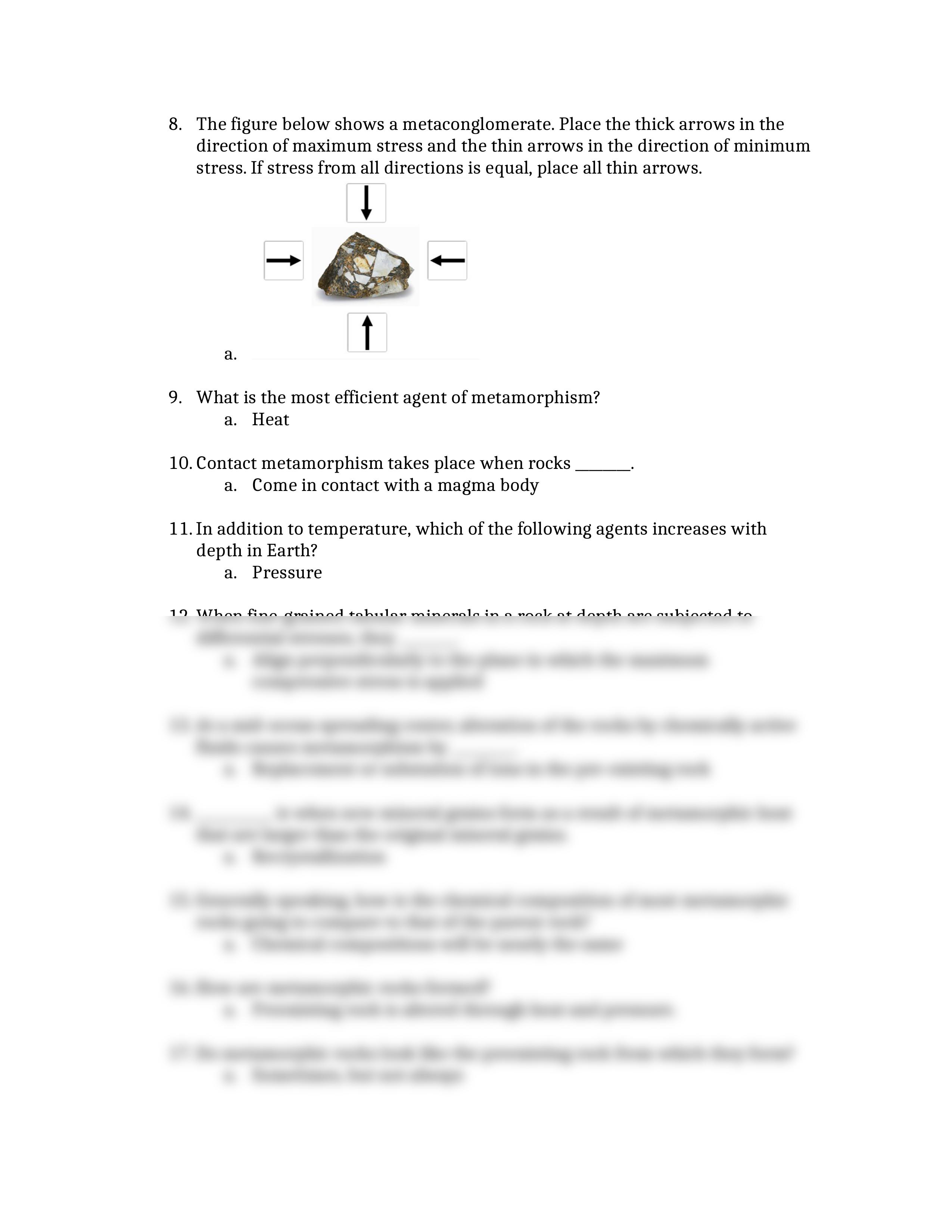 Assignment 8 - Metamorphic Rocks_d40u3ca4or7_page2