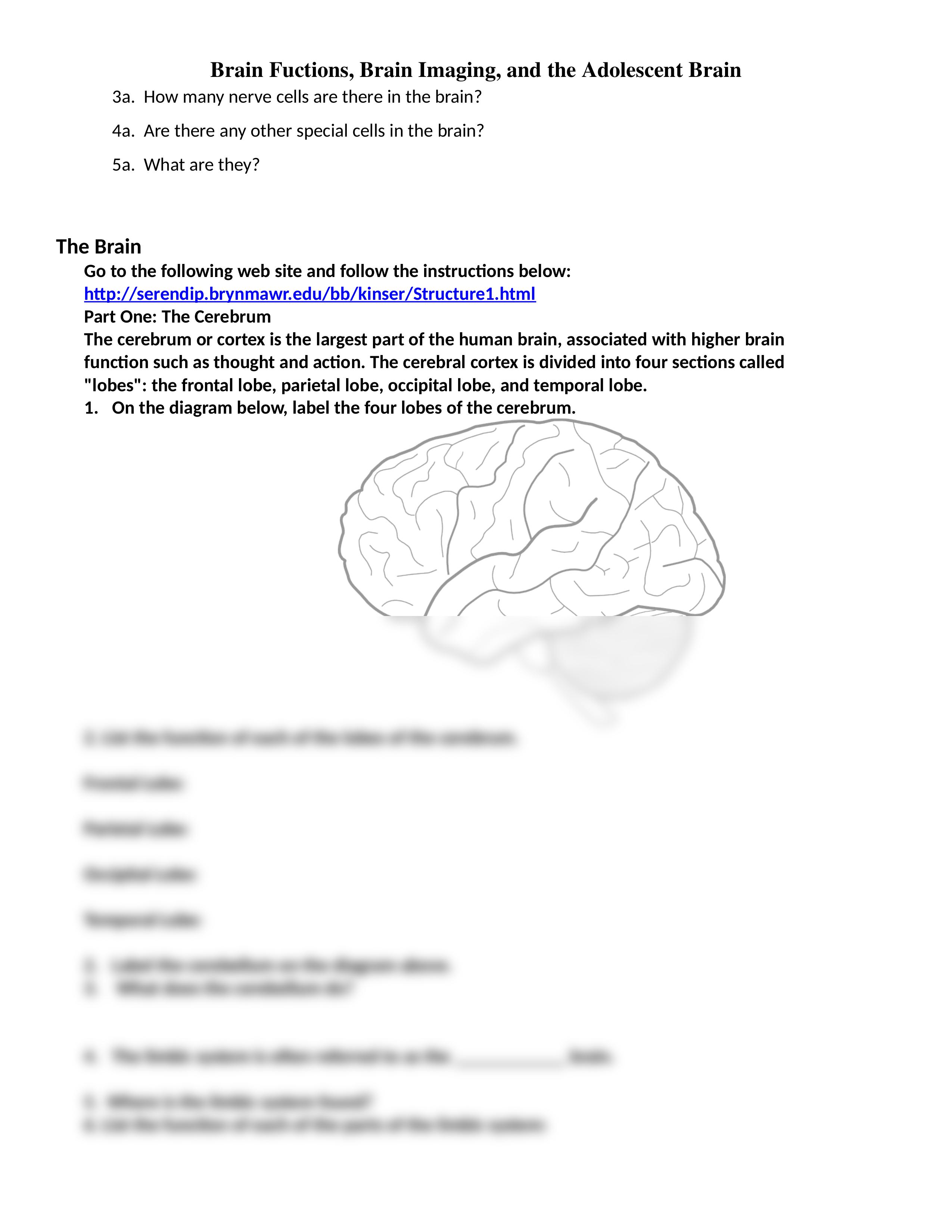 brain_functions_and_imaging_webquest_d43ubb3sz09_page2