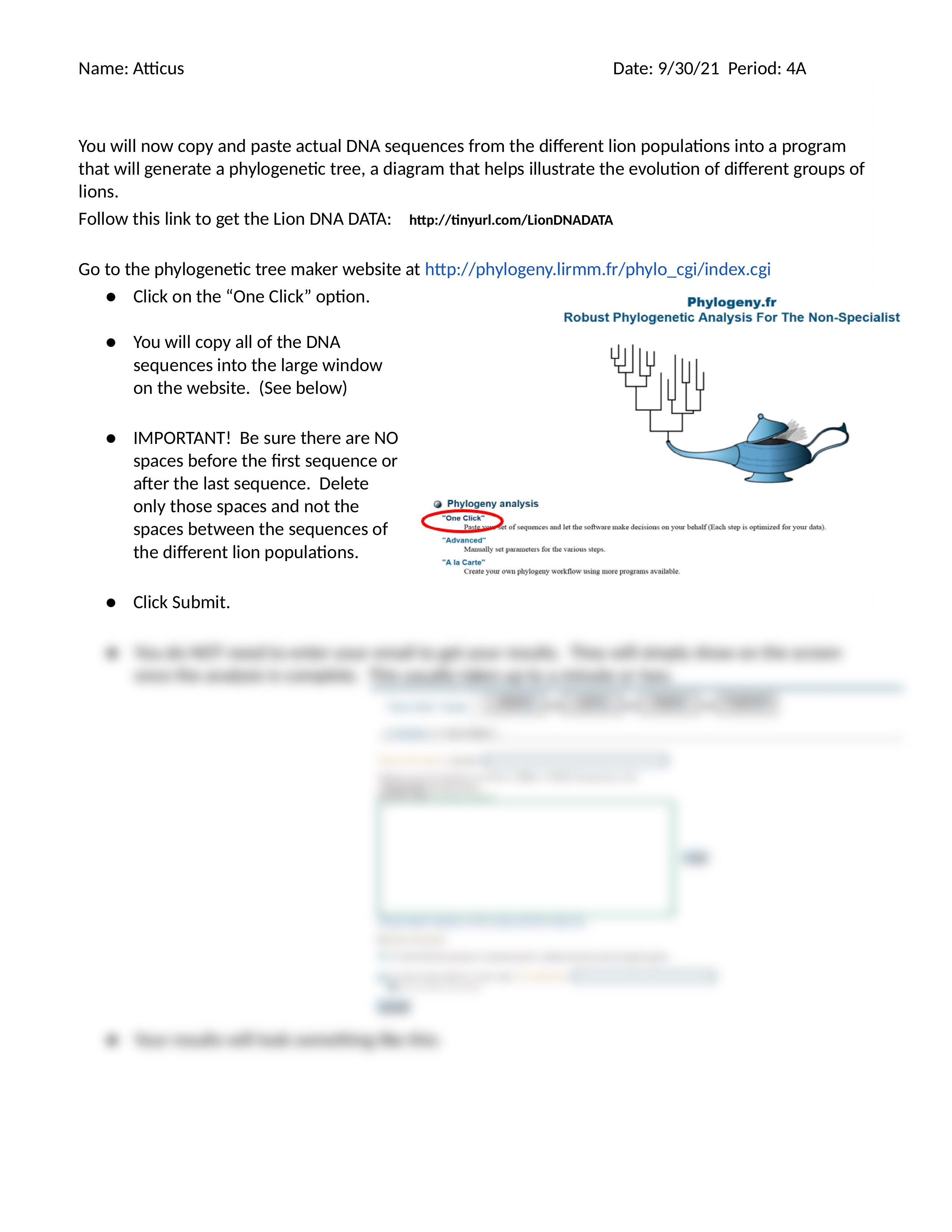 Copy of Lion Phylogeny Activity Cytochrome b.docx_d44me963q6w_page2