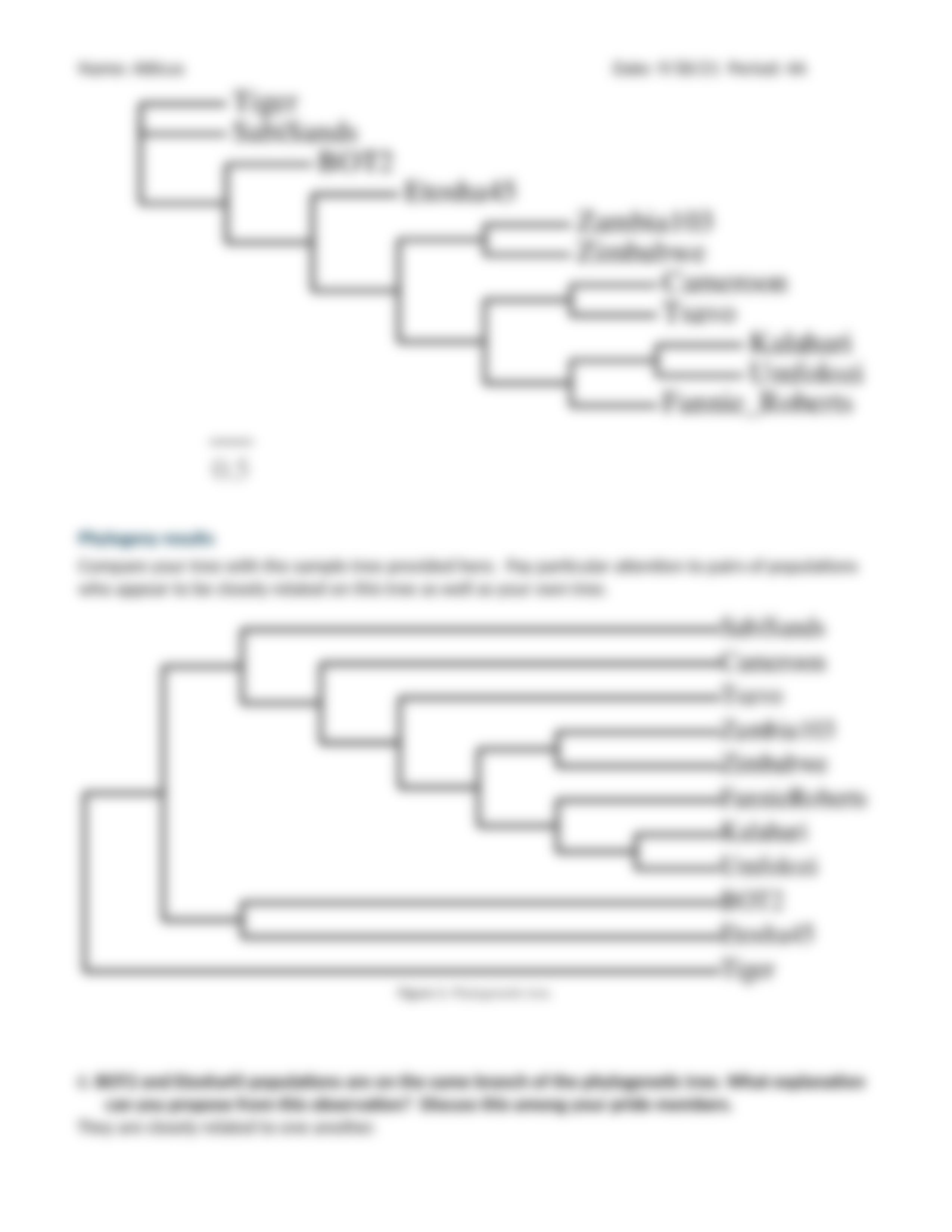 Copy of Lion Phylogeny Activity Cytochrome b.docx_d44me963q6w_page4