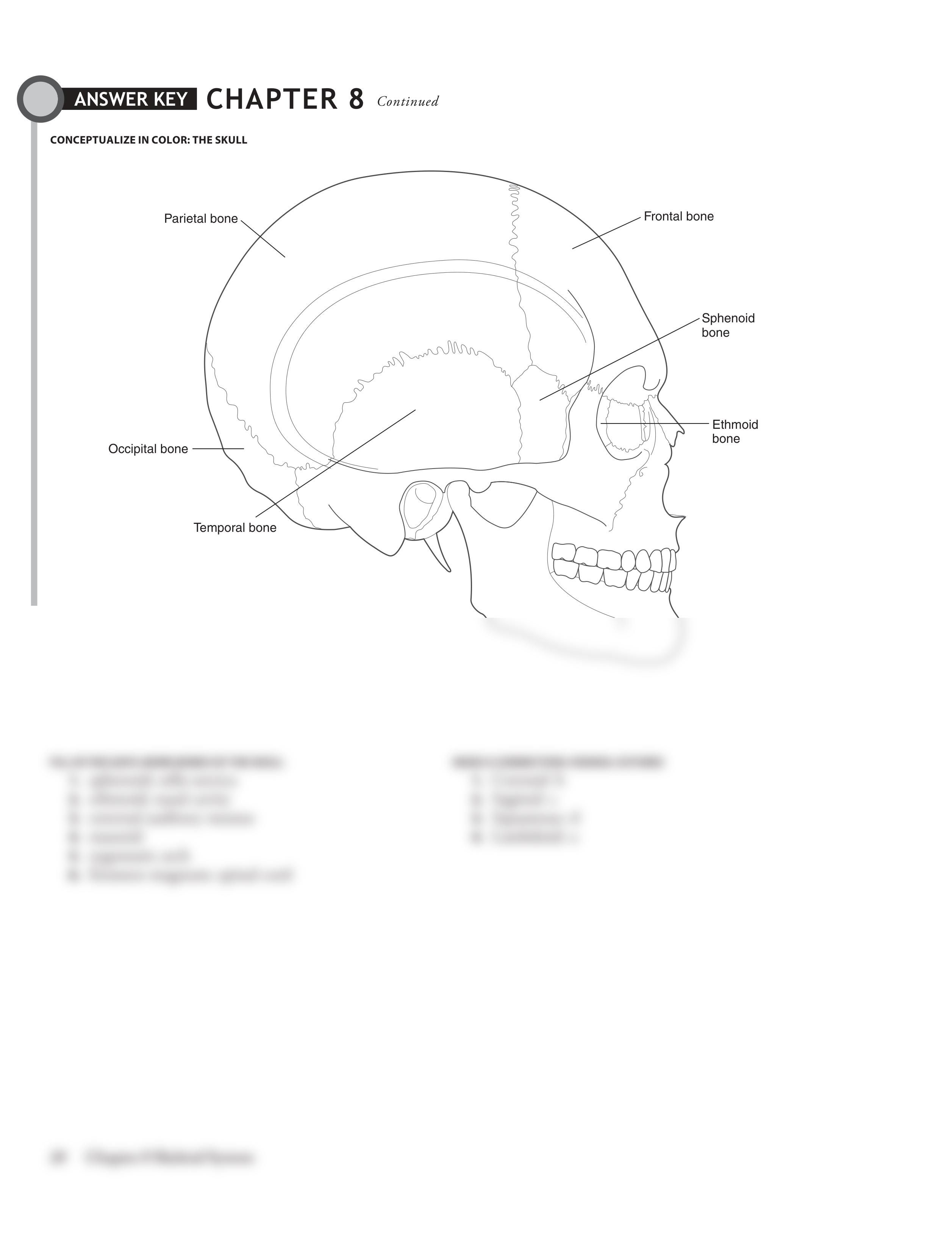 Ch08.pdf_d485z4mmgkg_page2