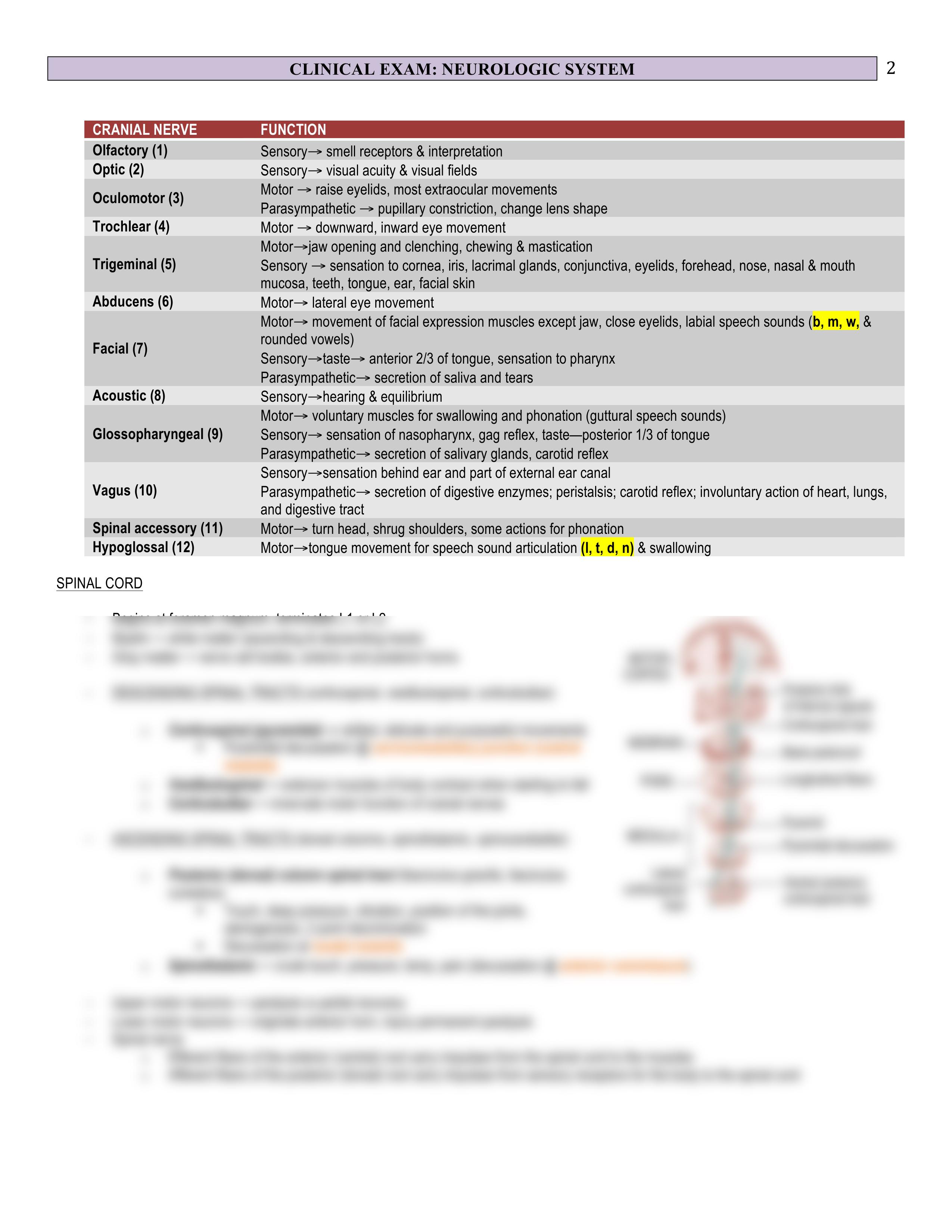 CE - 22 - Neuro - BL_d49ygqffjnr_page2