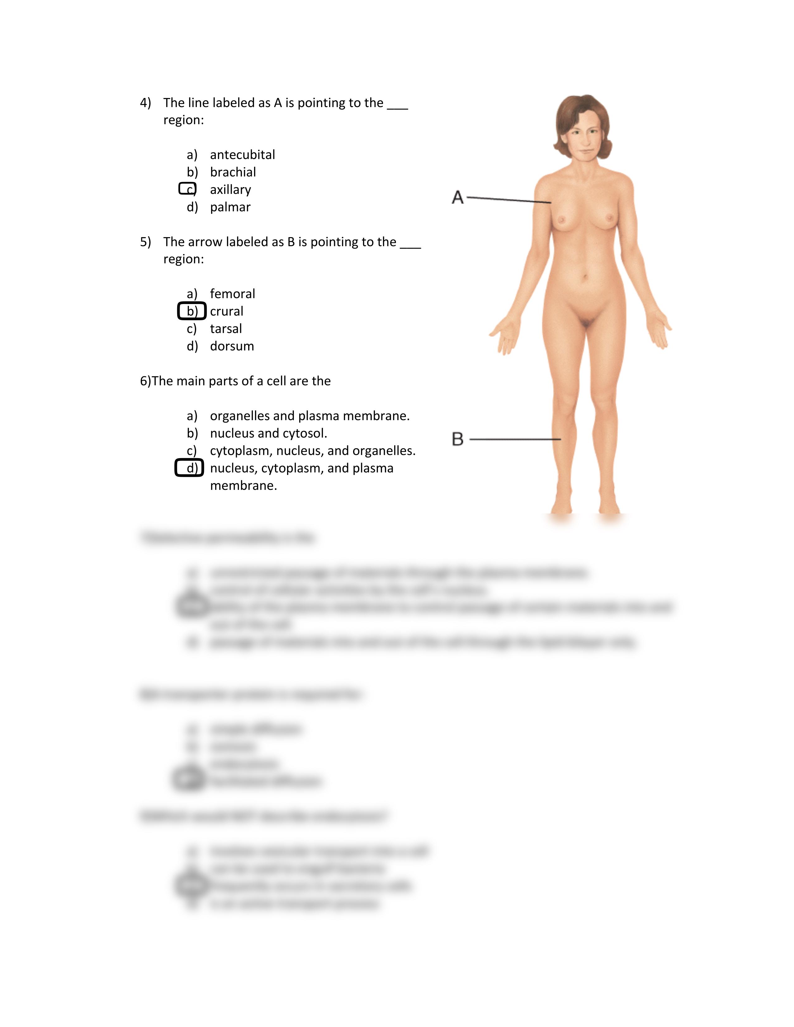 Bio 6 Final Practice answered.pdf_d4a3m88v7bk_page2