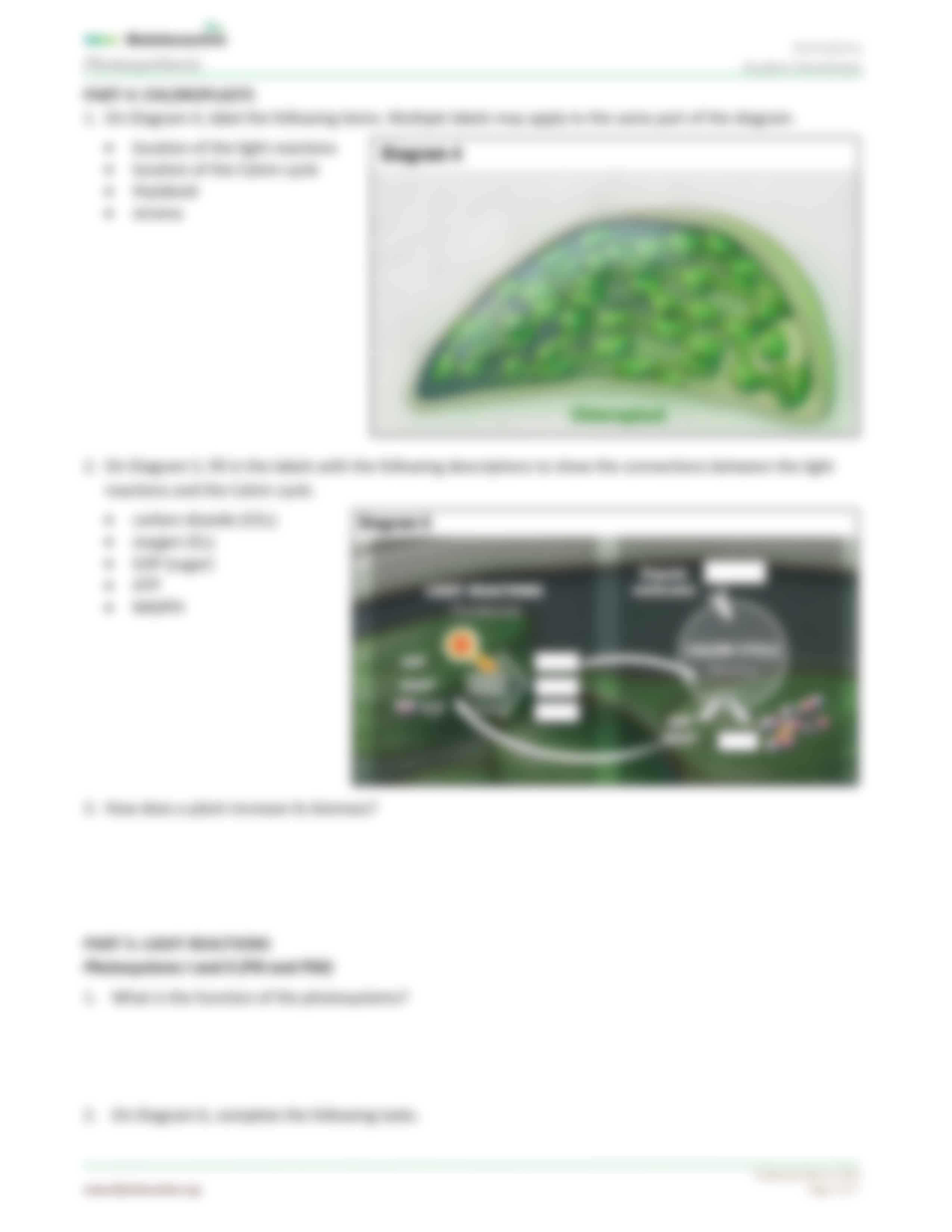 Photosynthesis-StudentWS-animation_BIO_110_WK_4.pdf_d4akfx8js92_page3