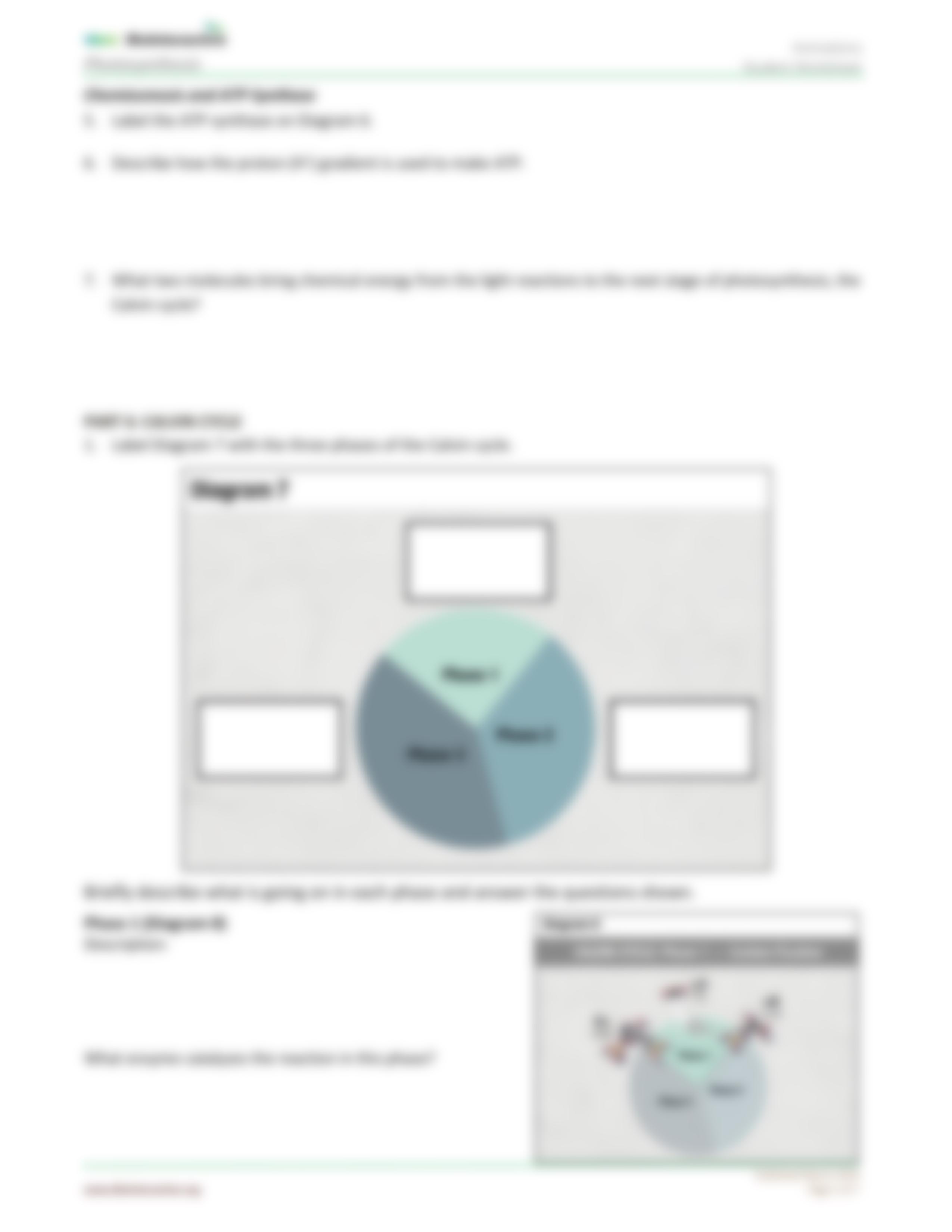 Photosynthesis-StudentWS-animation_BIO_110_WK_4.pdf_d4akfx8js92_page5