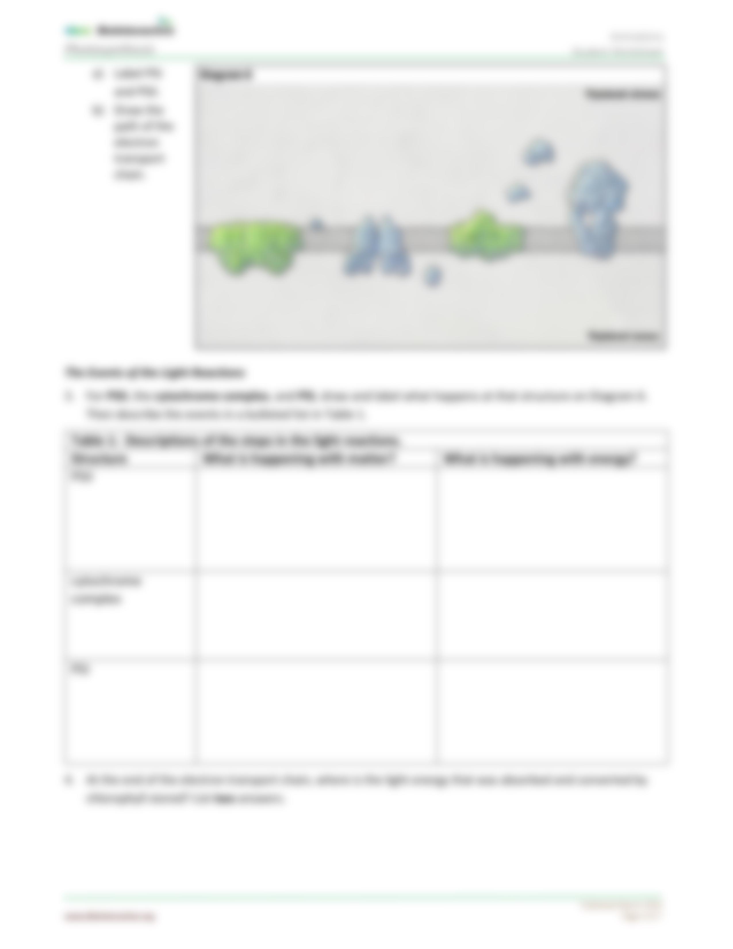 Photosynthesis-StudentWS-animation_BIO_110_WK_4.pdf_d4akfx8js92_page4