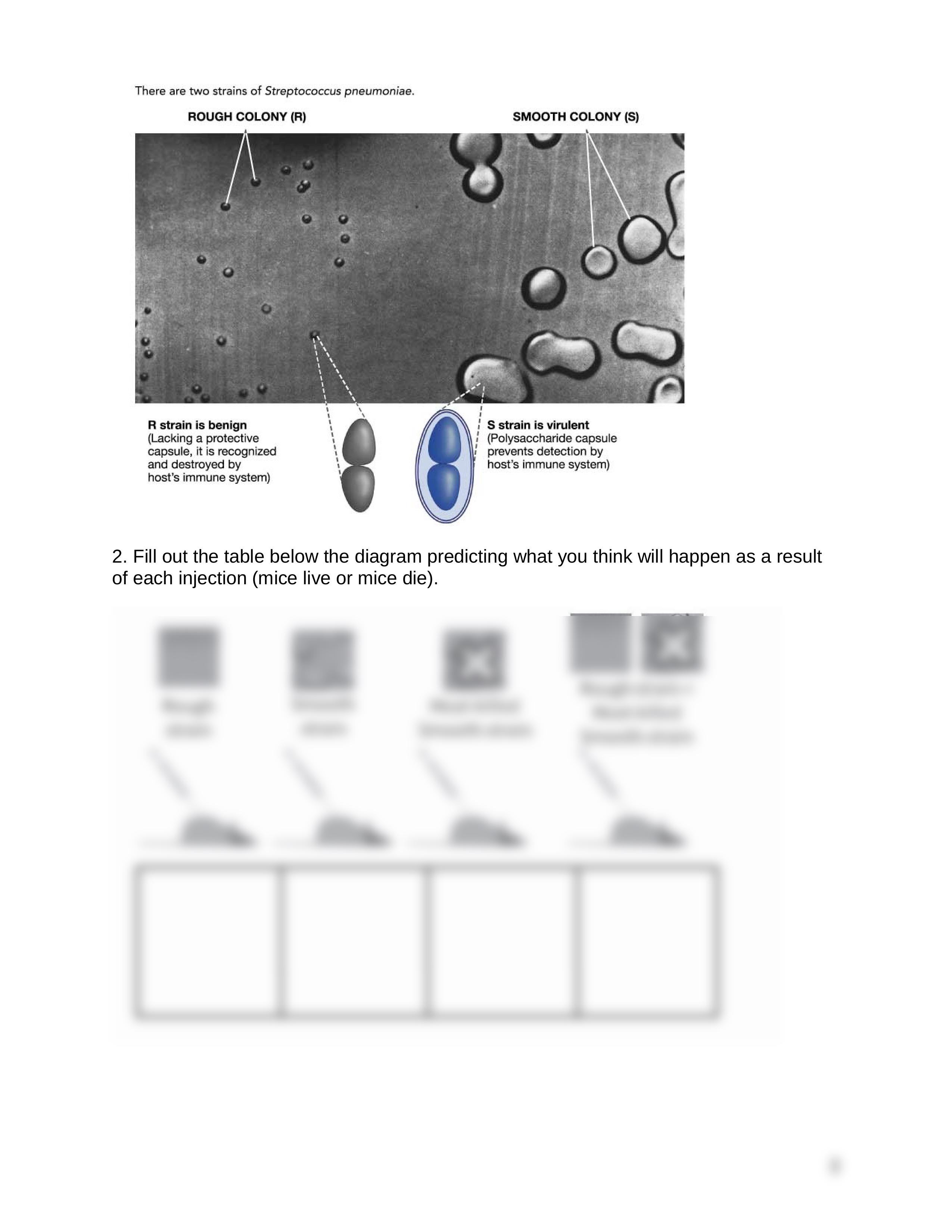 IntroductiontoREPLICATion_d4albz4s2u4_page2