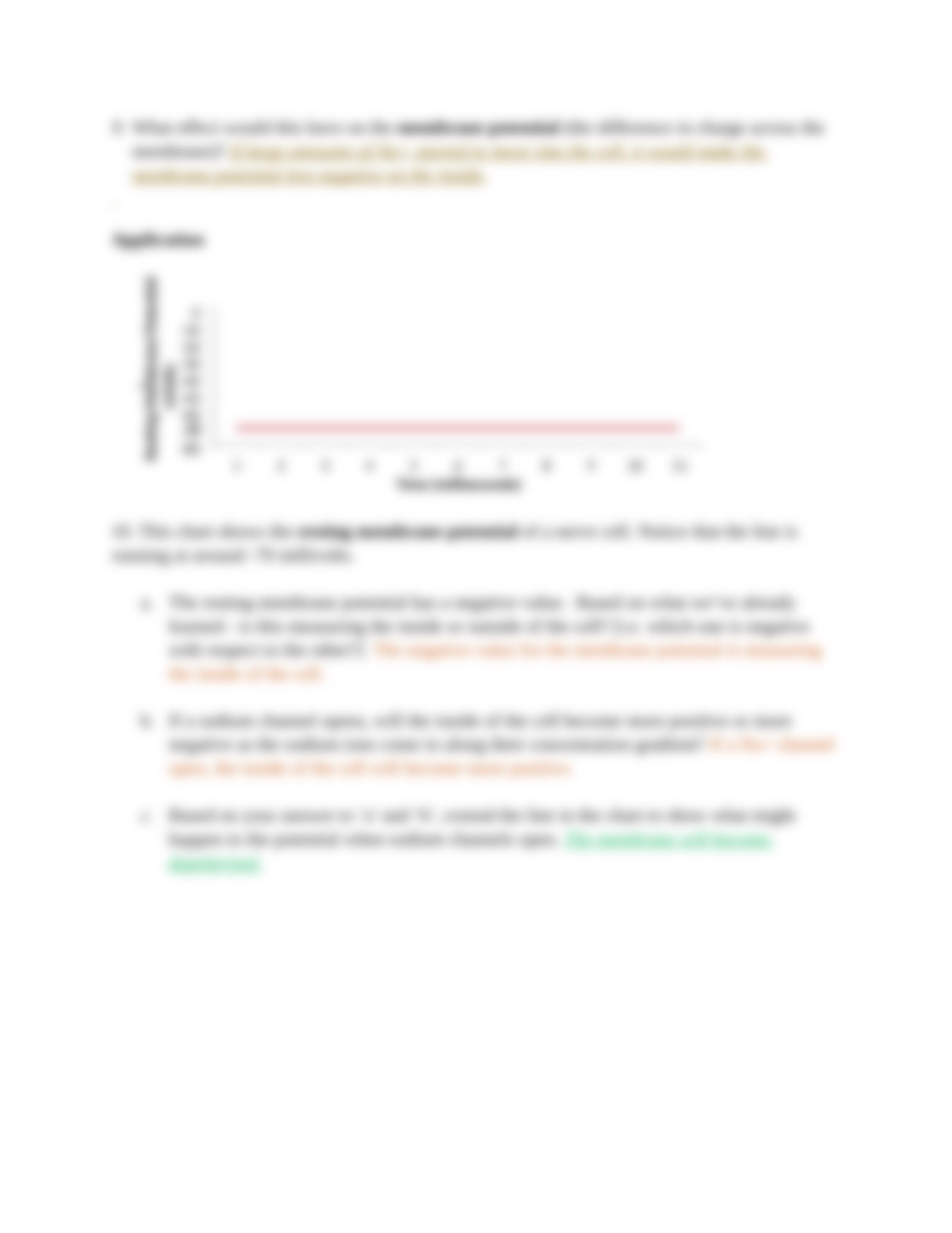 membrane potential POGIL (3).docx_d4senaoleat_page4