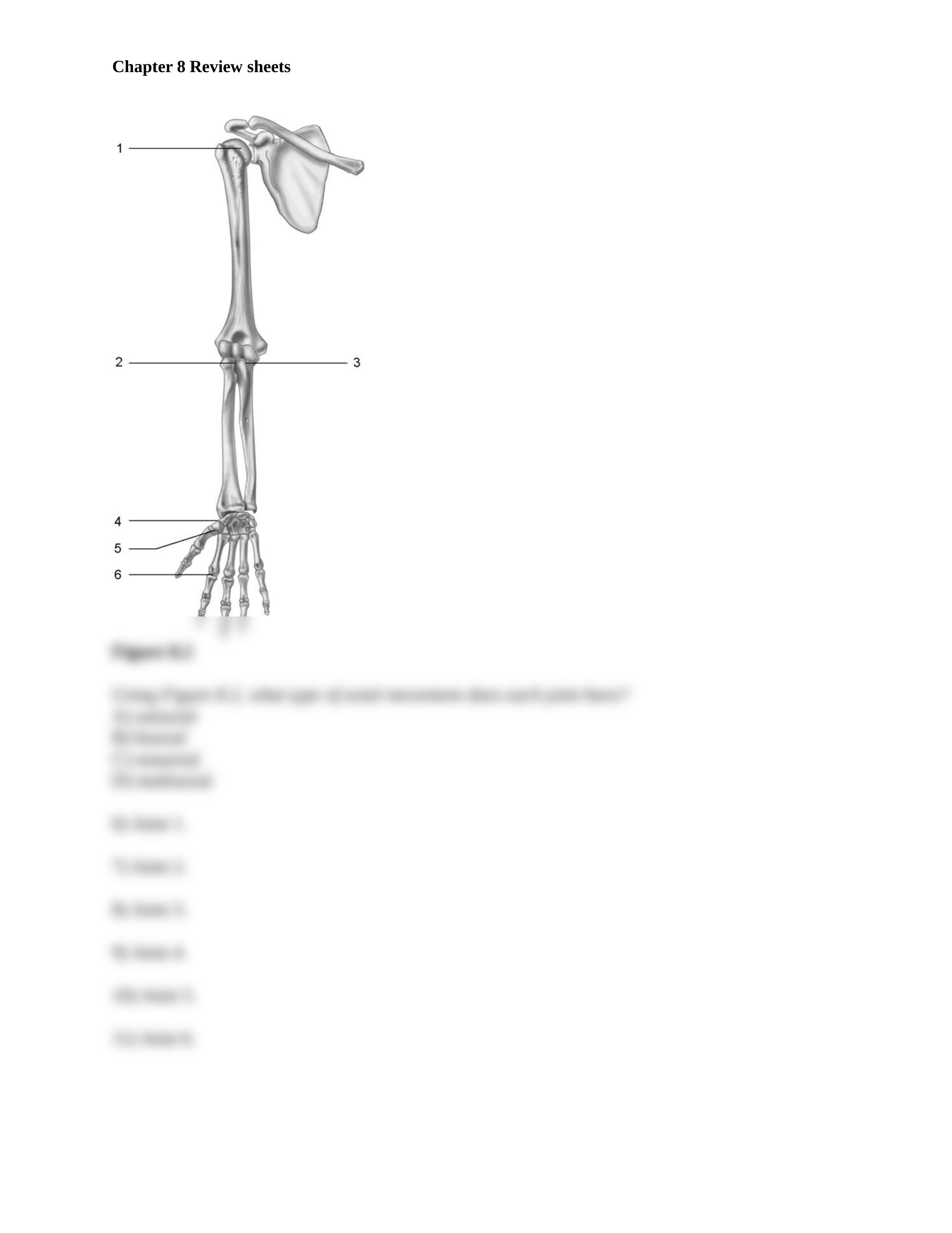 ch_08_worksheets_d4u9ejm5u23_page2