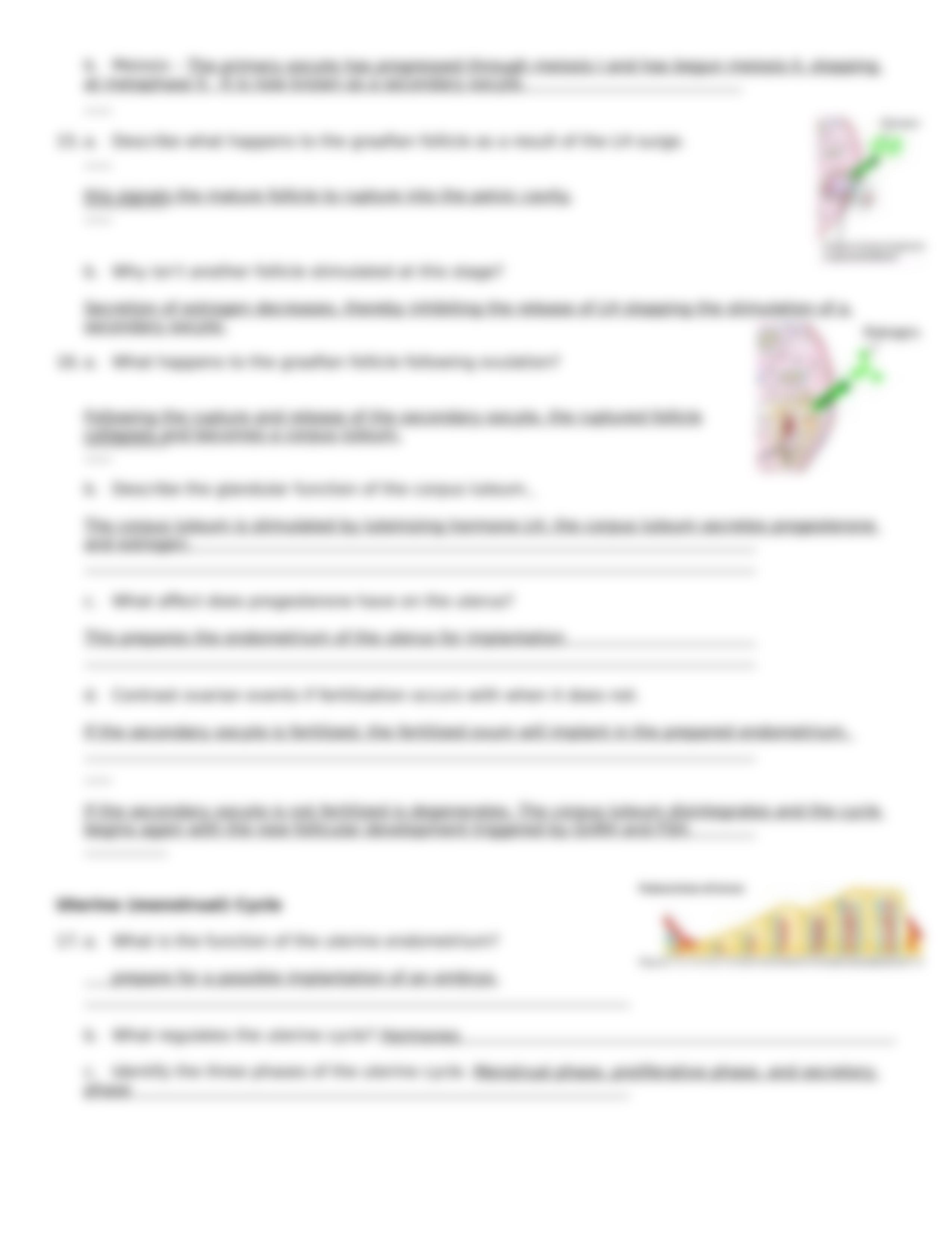 CH28+Hormonal+Regulation+of+Female+Reproductive+System_d4x0qb5fip6_page3