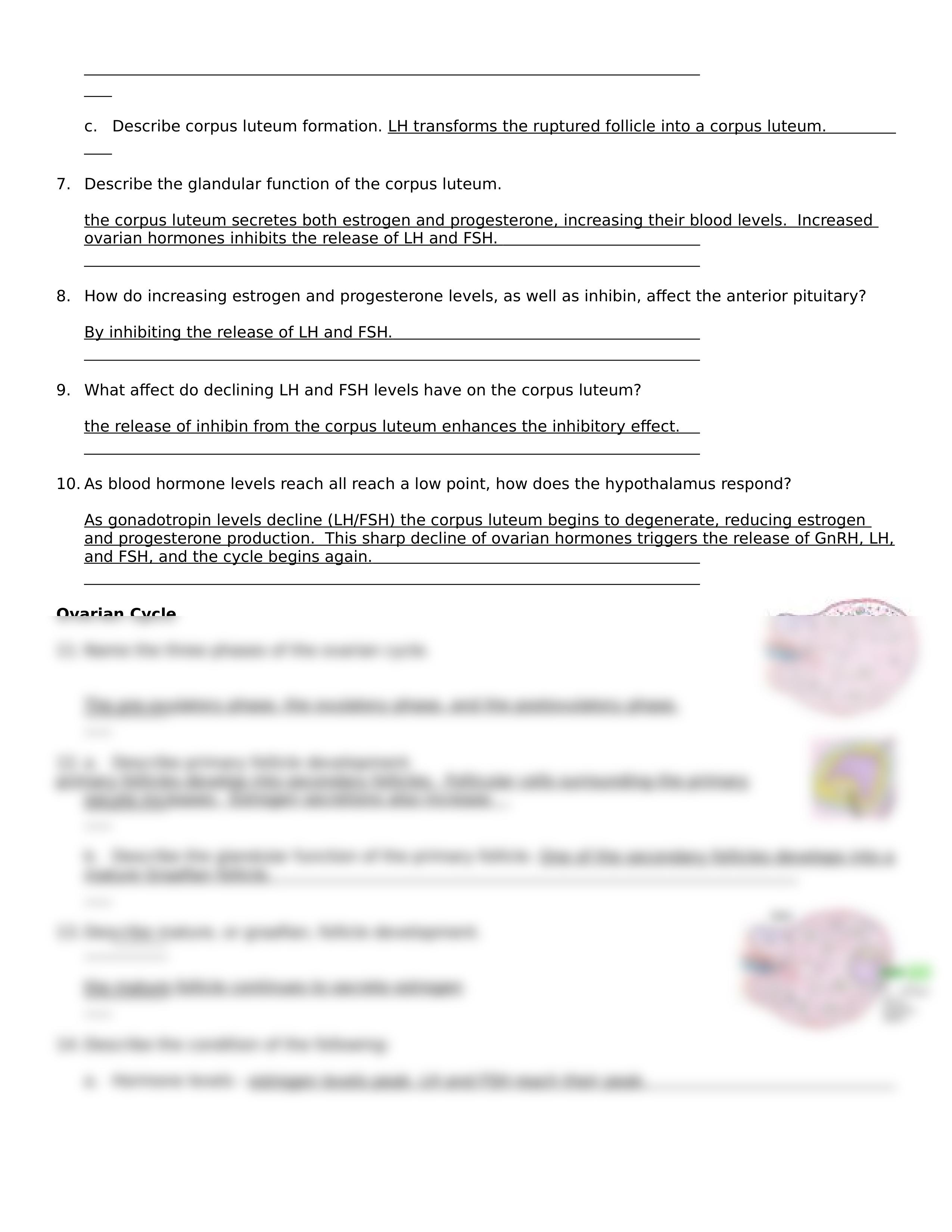 CH28+Hormonal+Regulation+of+Female+Reproductive+System_d4x0qb5fip6_page2