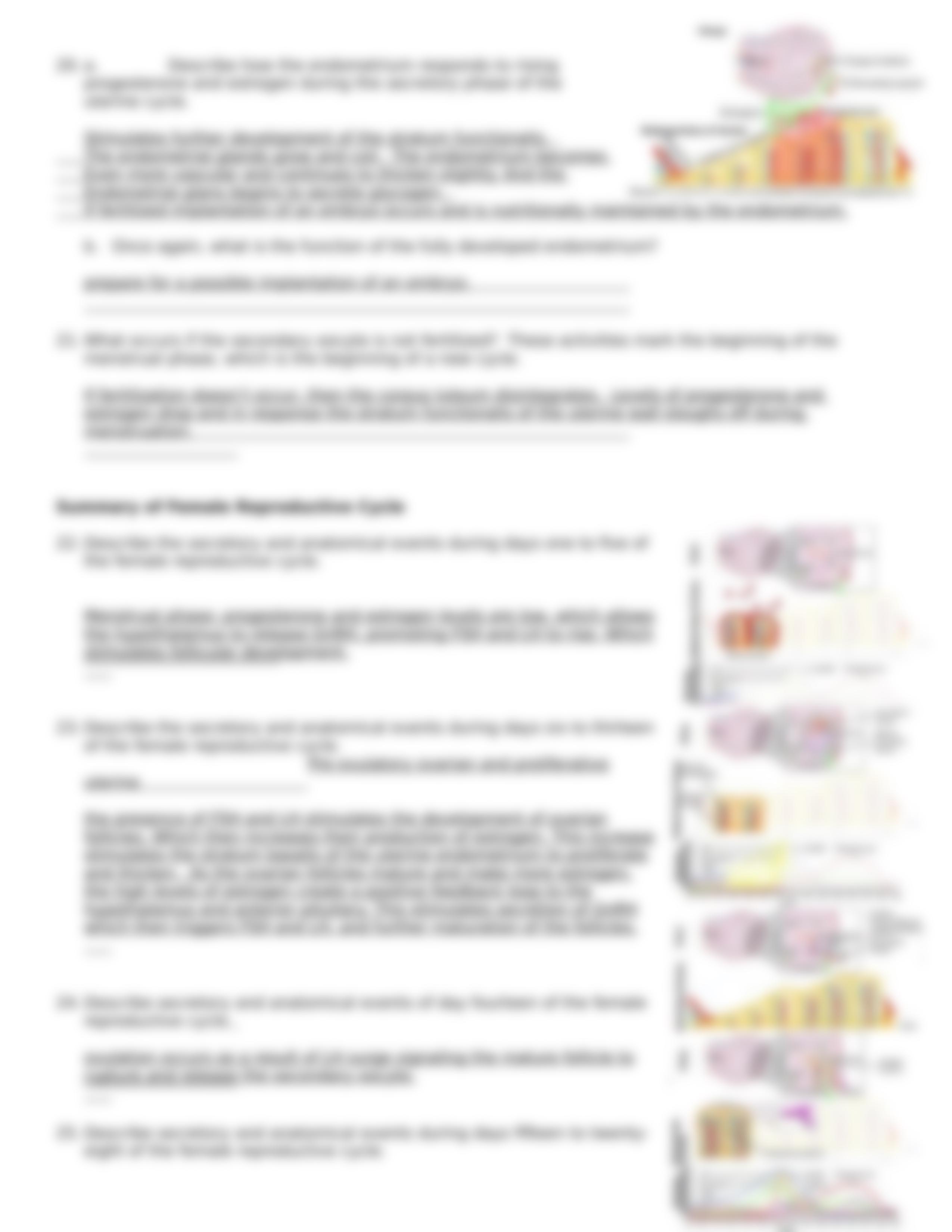 CH28+Hormonal+Regulation+of+Female+Reproductive+System_d4x0qb5fip6_page5