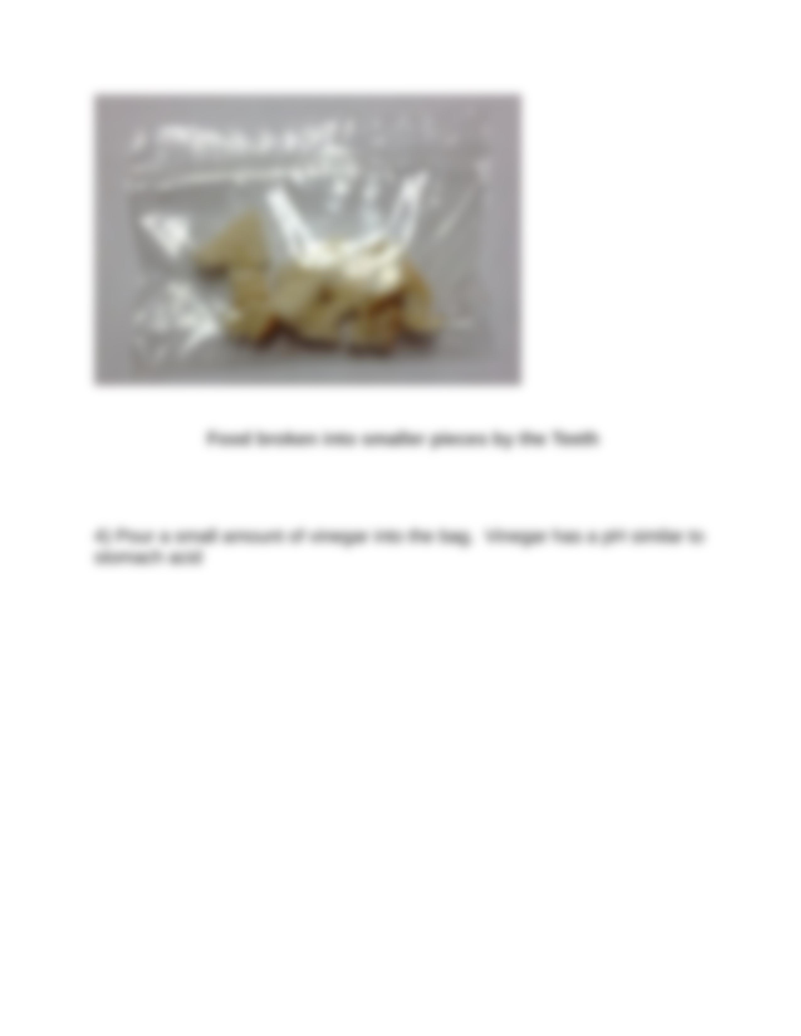 Lab Activity simulated digestion 2 parts.docx_d4xduya2d2l_page3