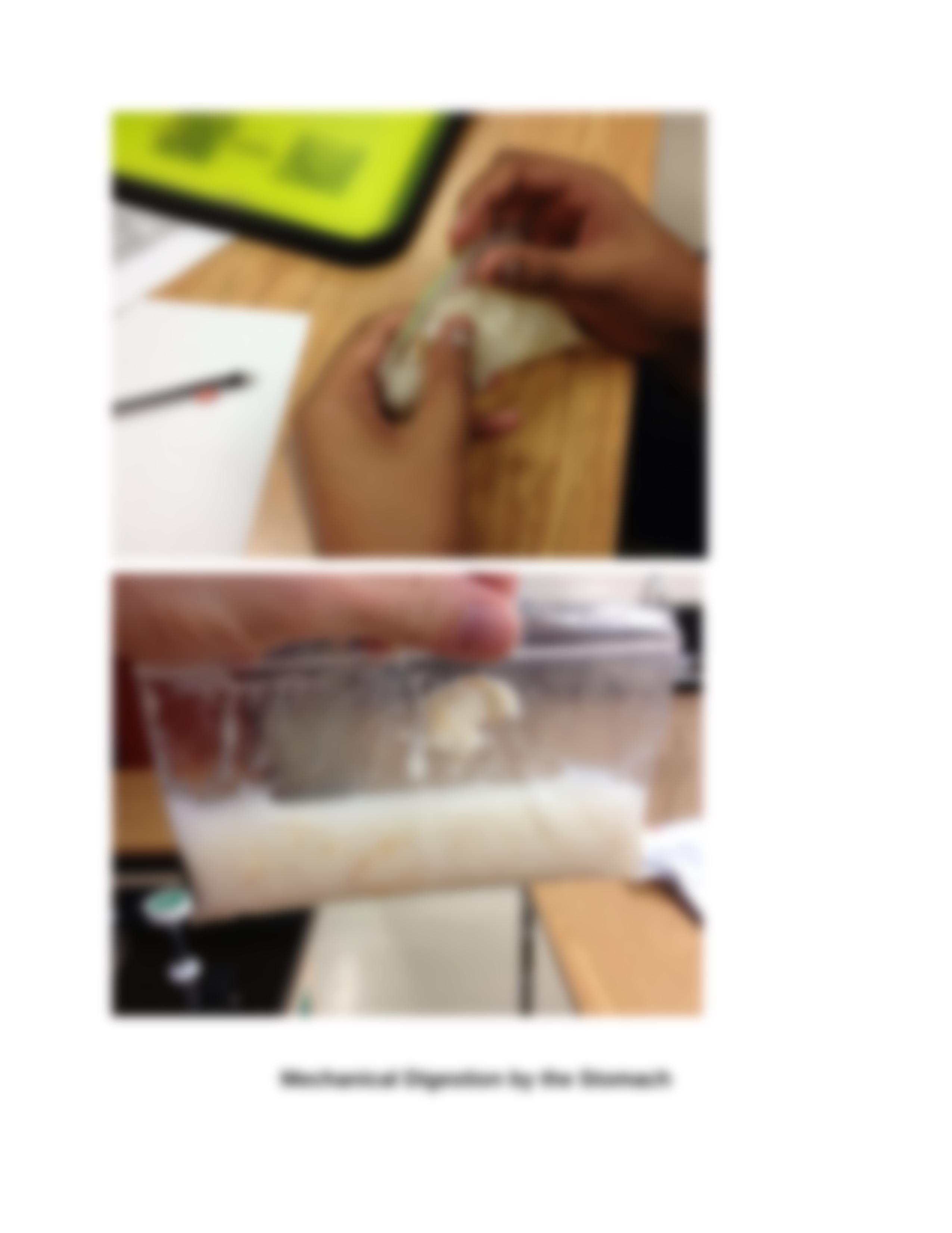 Lab Activity simulated digestion 2 parts.docx_d4xduya2d2l_page5