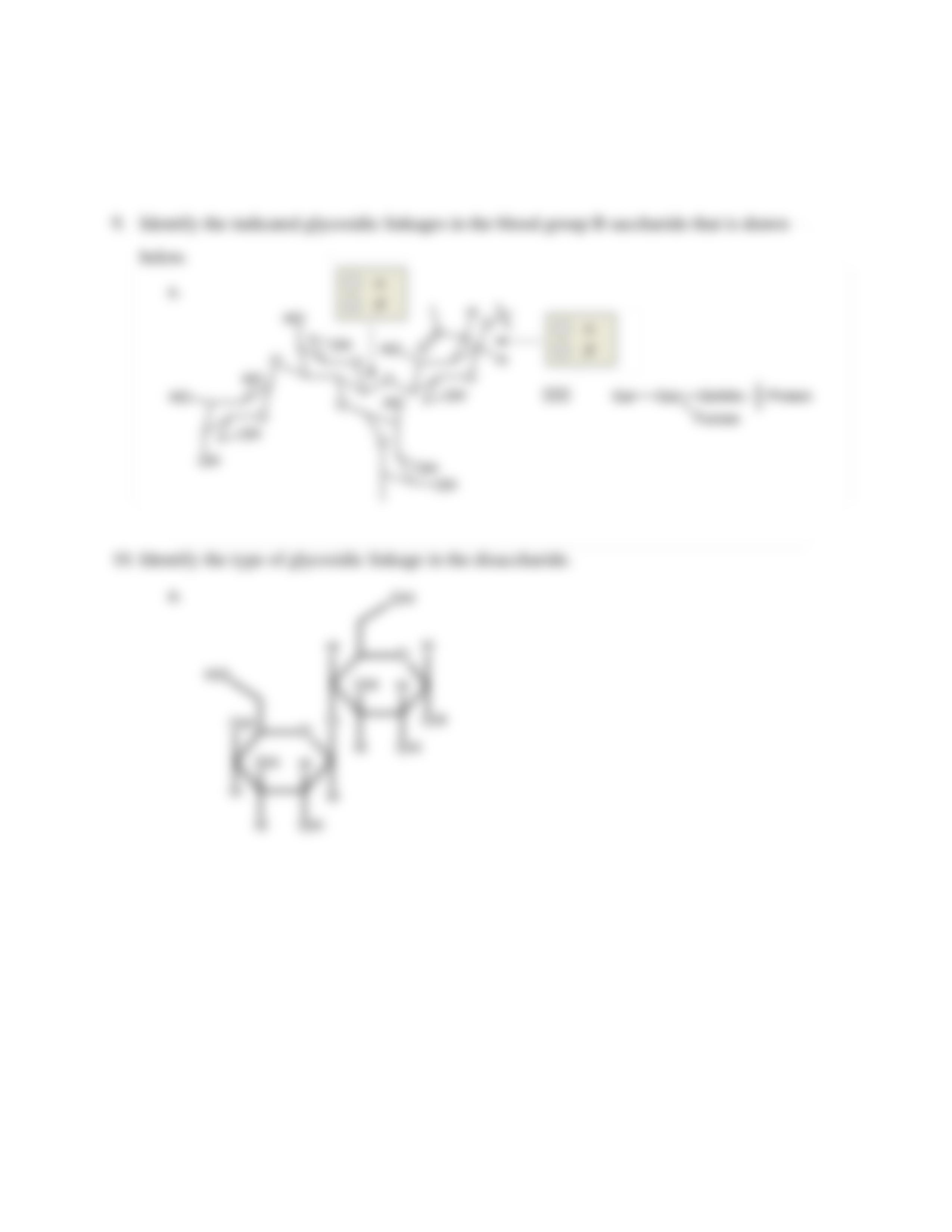 Orgo HW - Ch. 17.docx_d4yi20480jb_page3