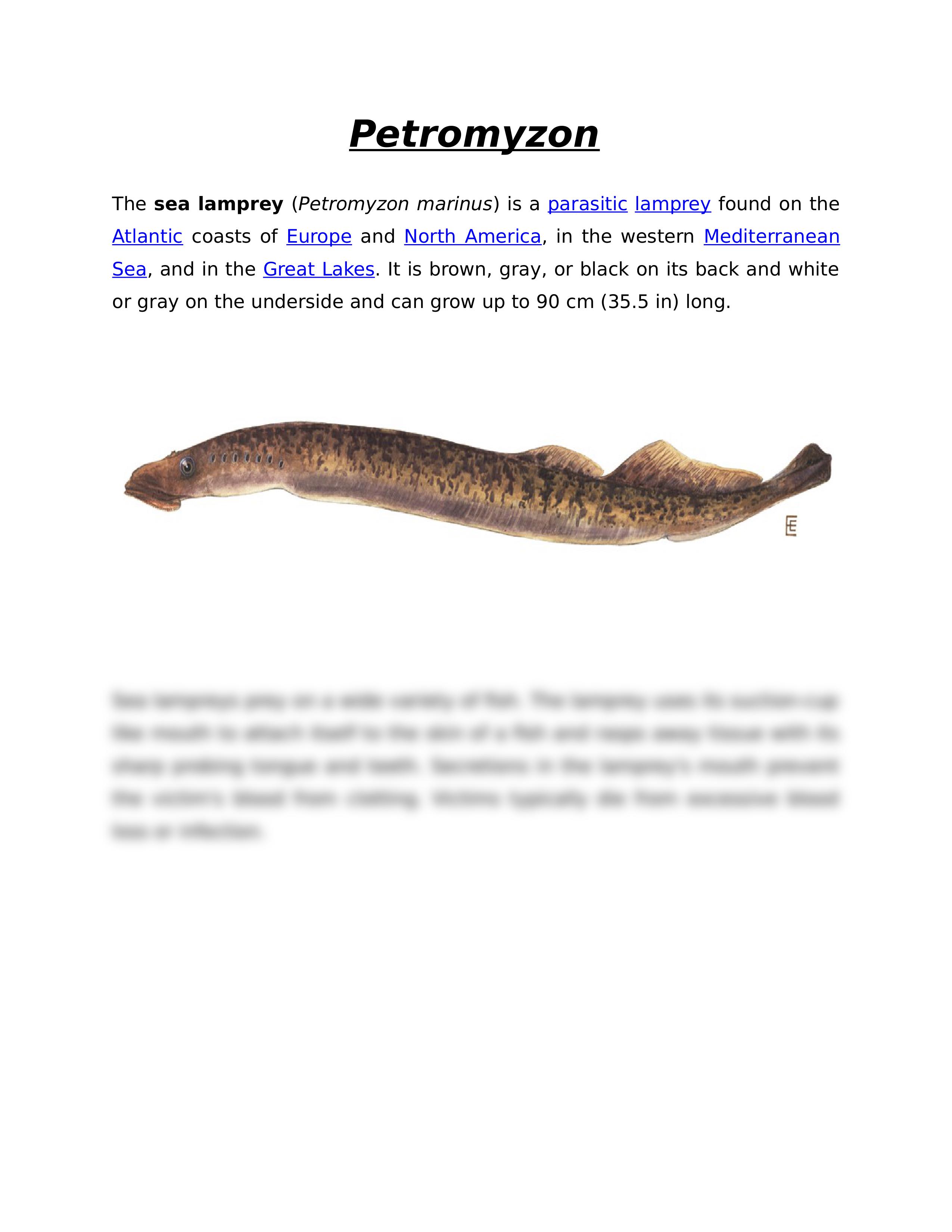 General characteristics of of petromyzon 2_d4z4lmdmbi8_page2