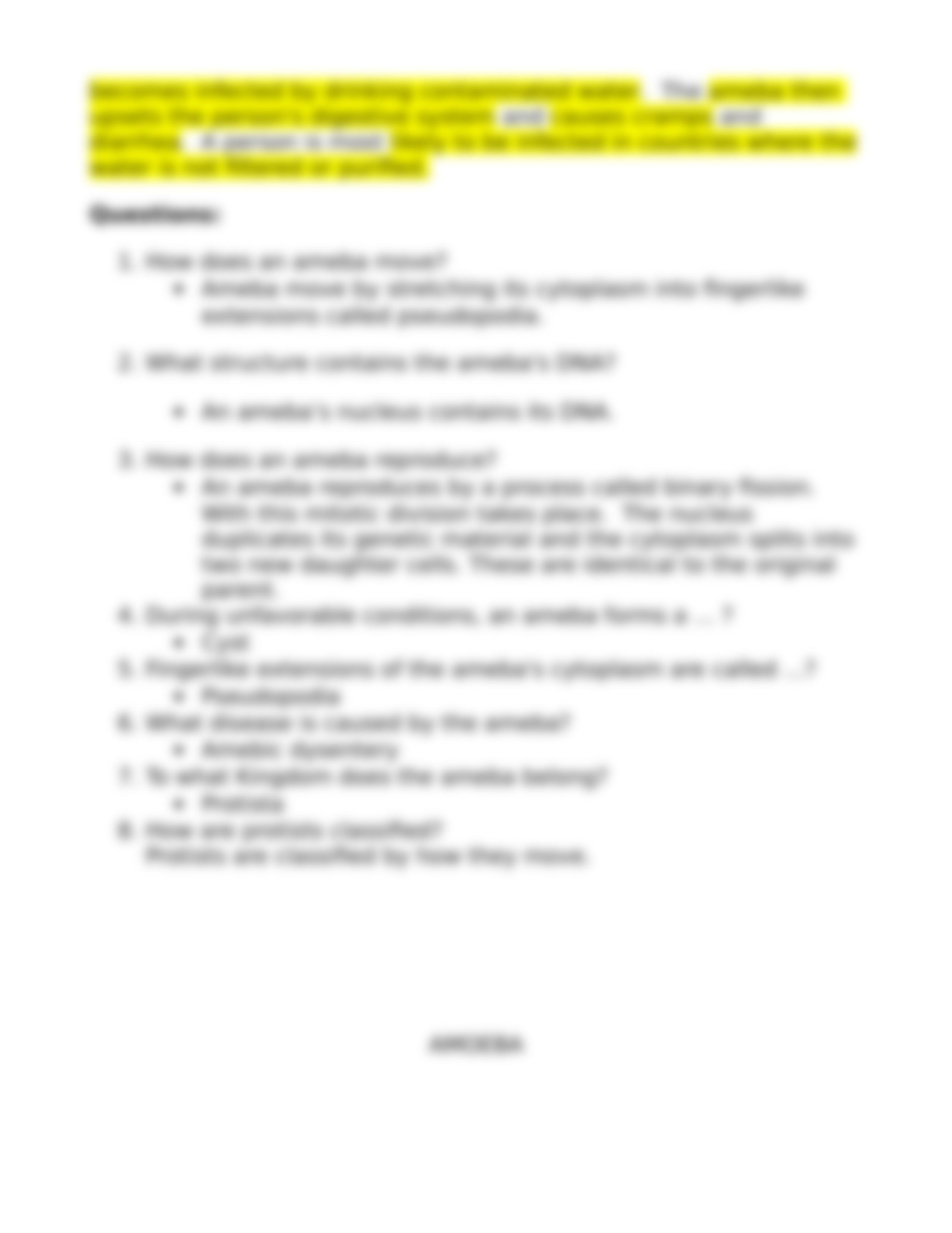 Protist Worksheet.doc_d50kjrsmxc4_page5