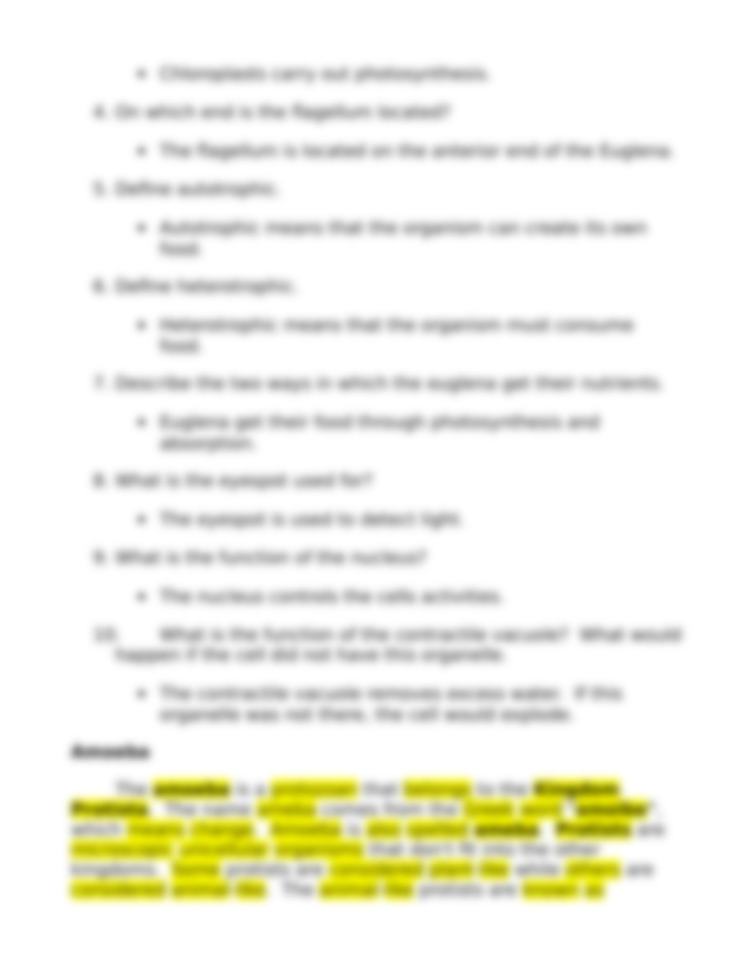 Protist Worksheet.doc_d50kjrsmxc4_page3