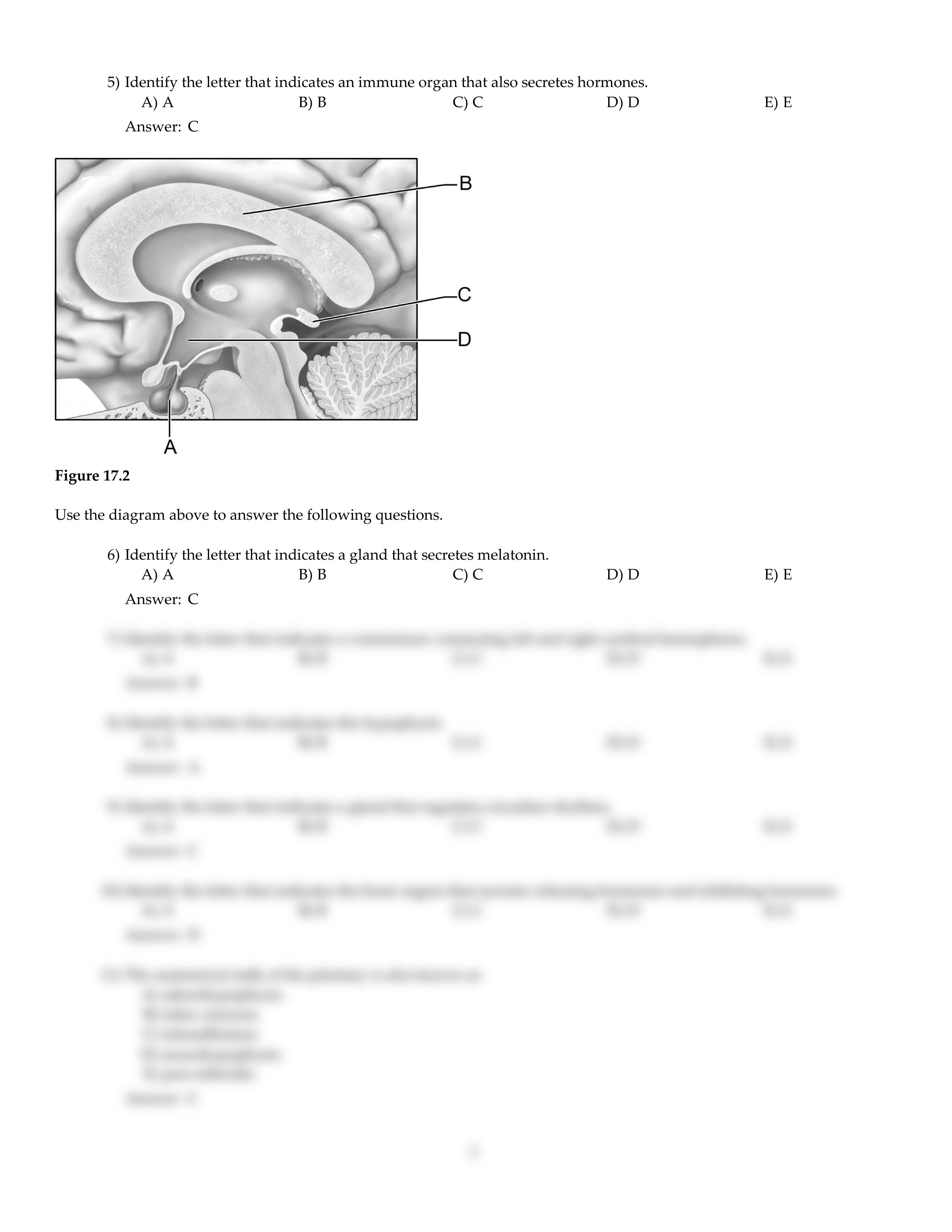 CH17.pdf_d50yf31zg1v_page2