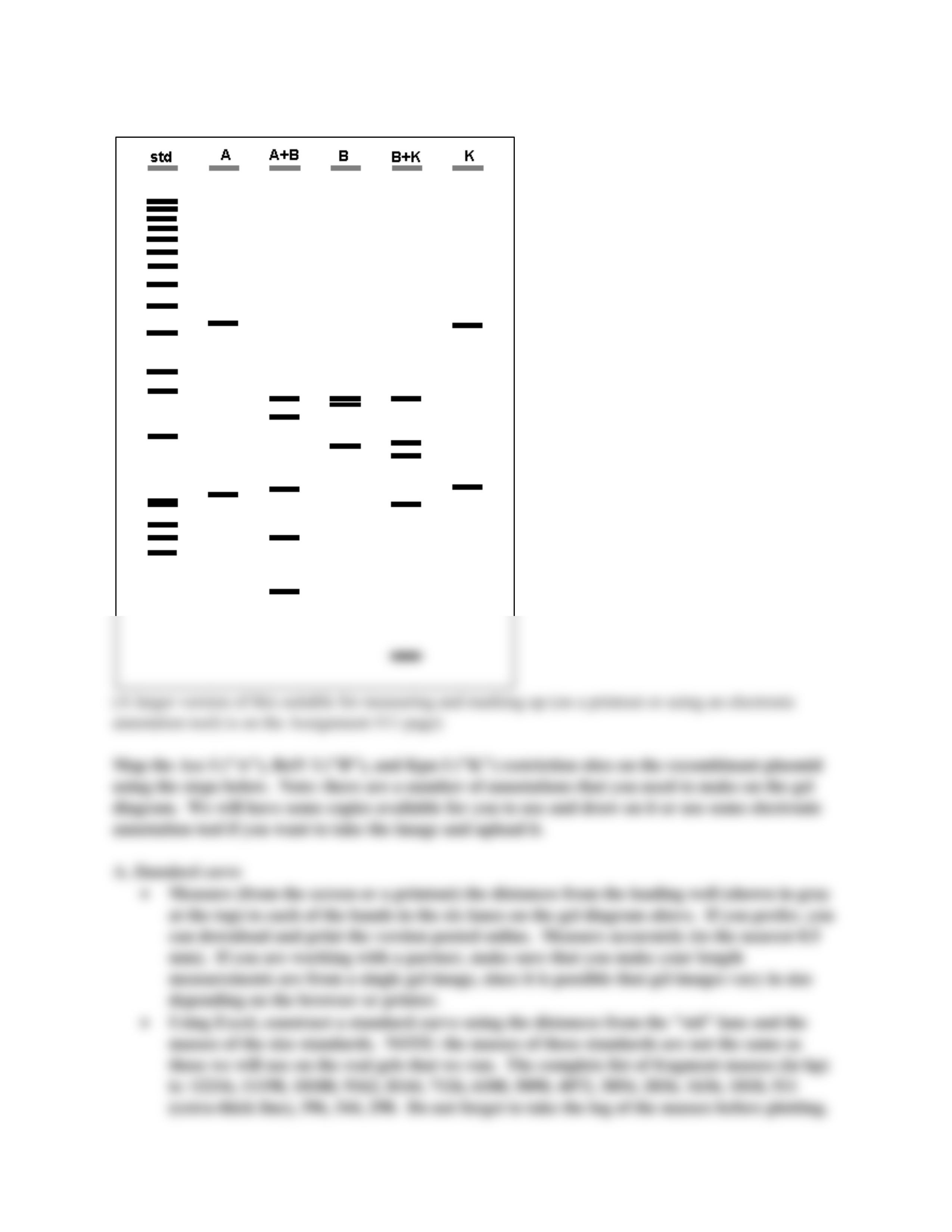 homework_11_bio 1510 lab.pdf_d52n0aja8j7_page2