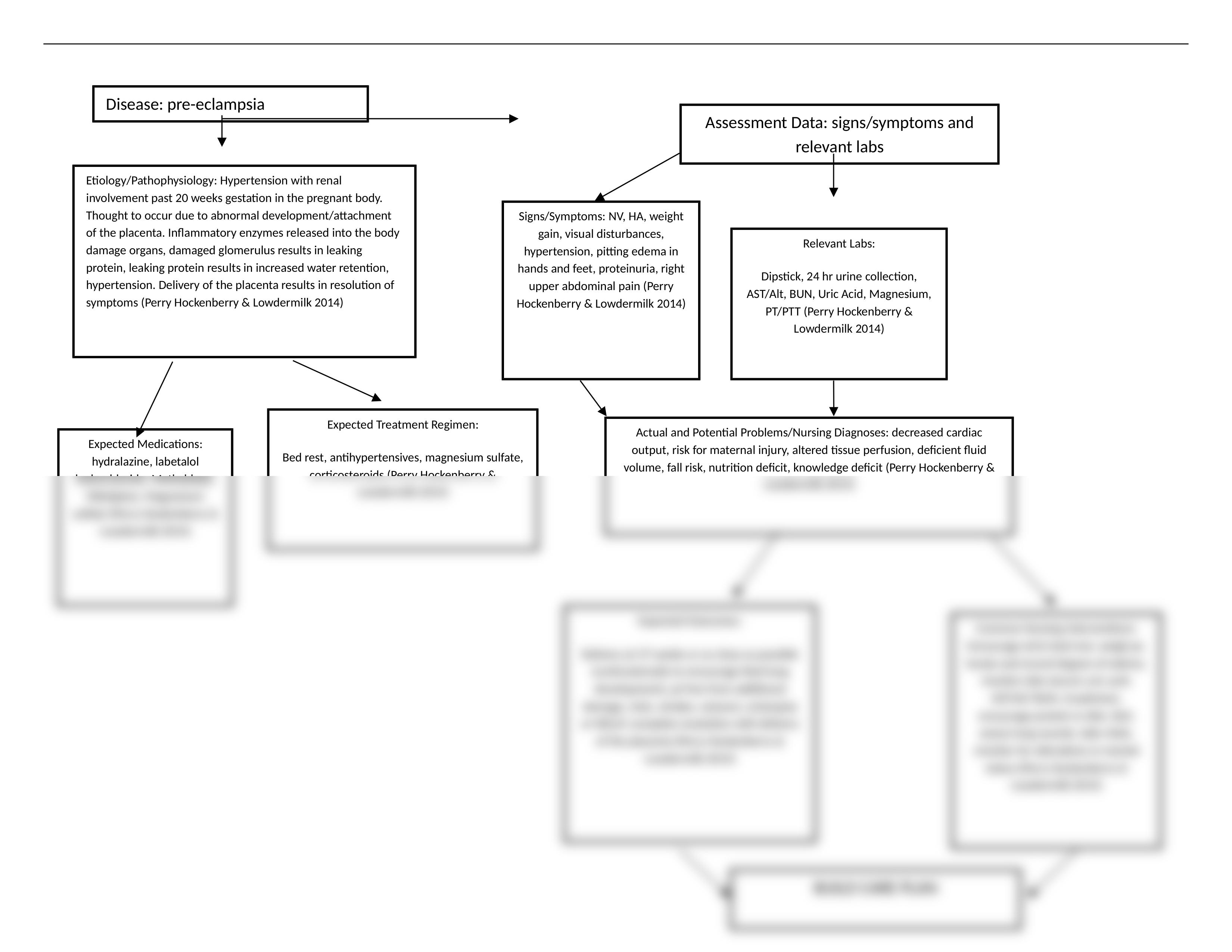 Preeclampsia Concept Map.docx_d53yic2pvkx_page1