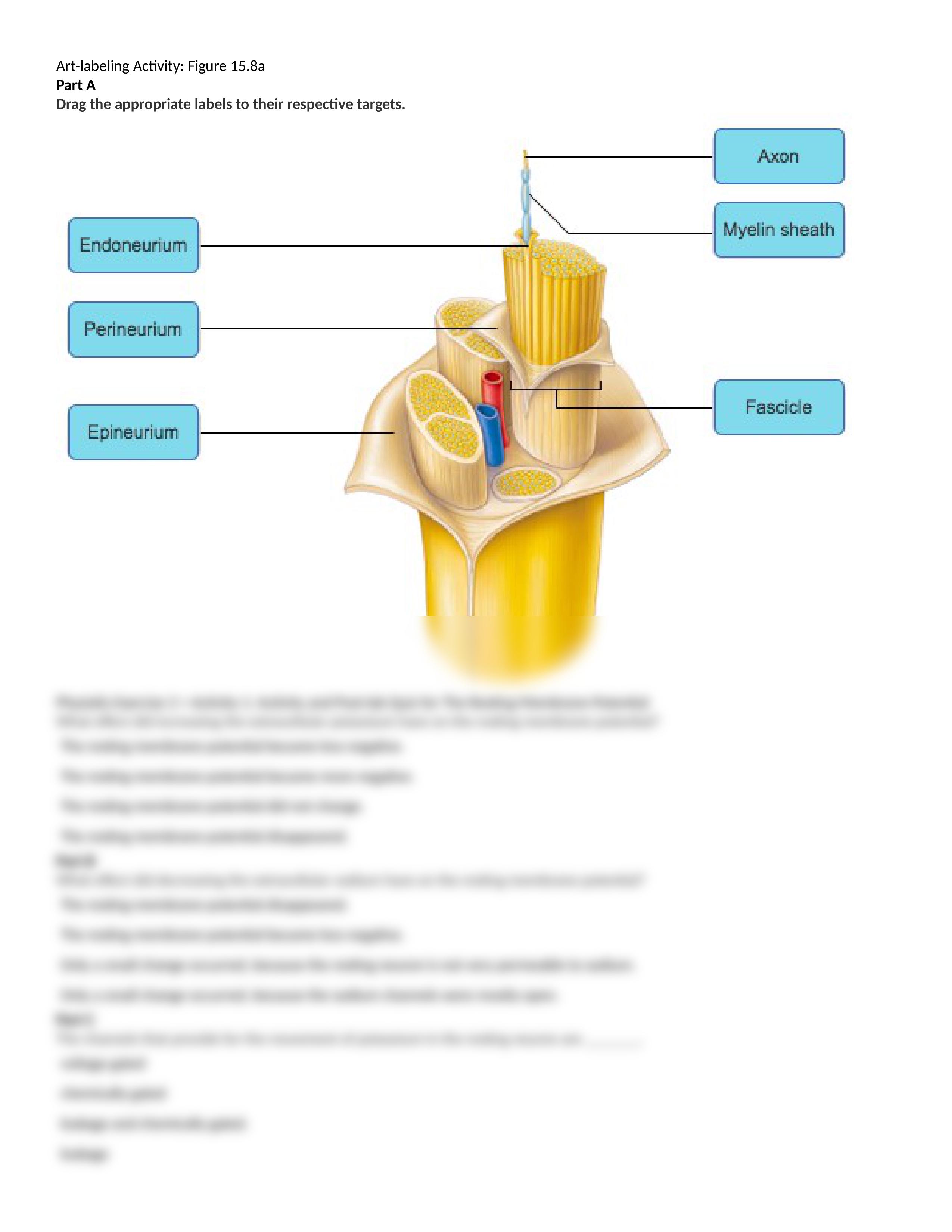 BIO - 168 - D6B - Nervous System Part 1 - Mastering A&P Lab Assignment.docx_d5a2kk3lt8q_page2