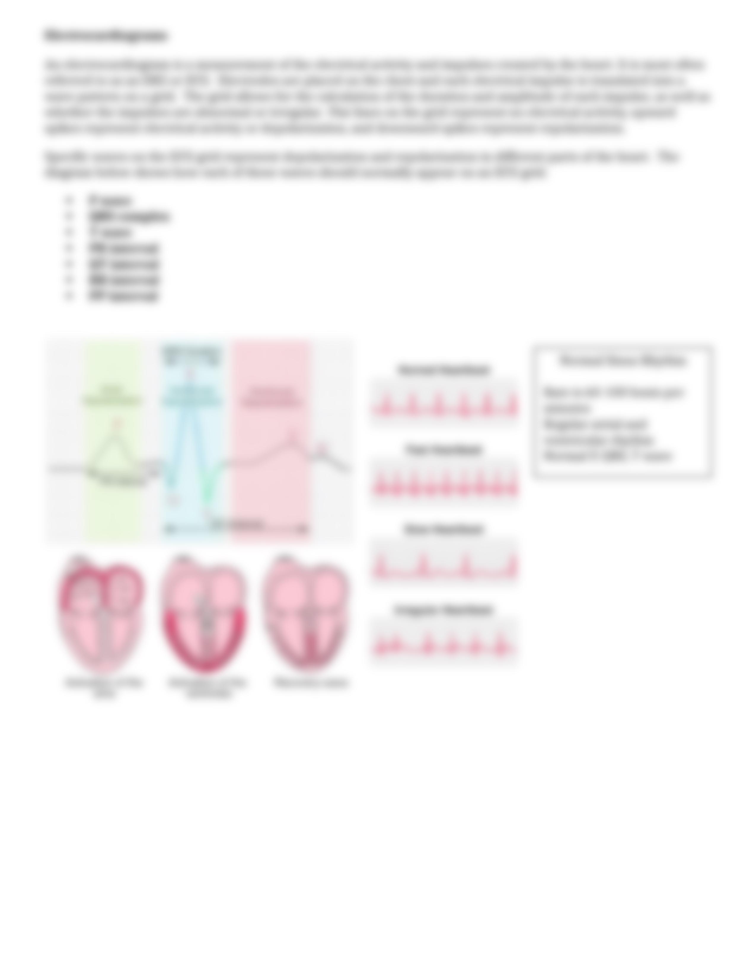 Cardiac Cycle.docx_d5b1vyedohd_page3