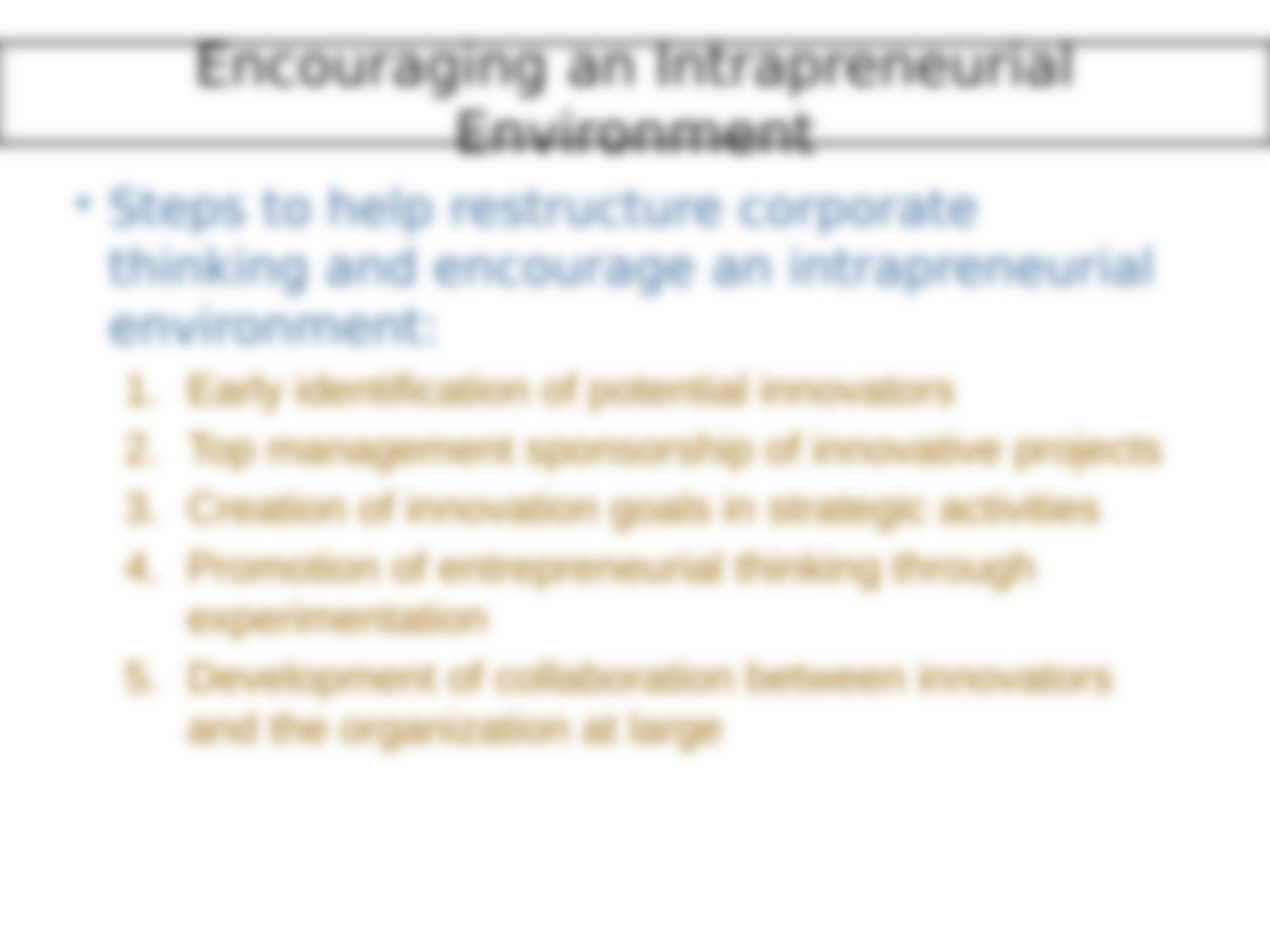 Entrepreneurial Mindset: Corporate_d5d6dai4plr_page4