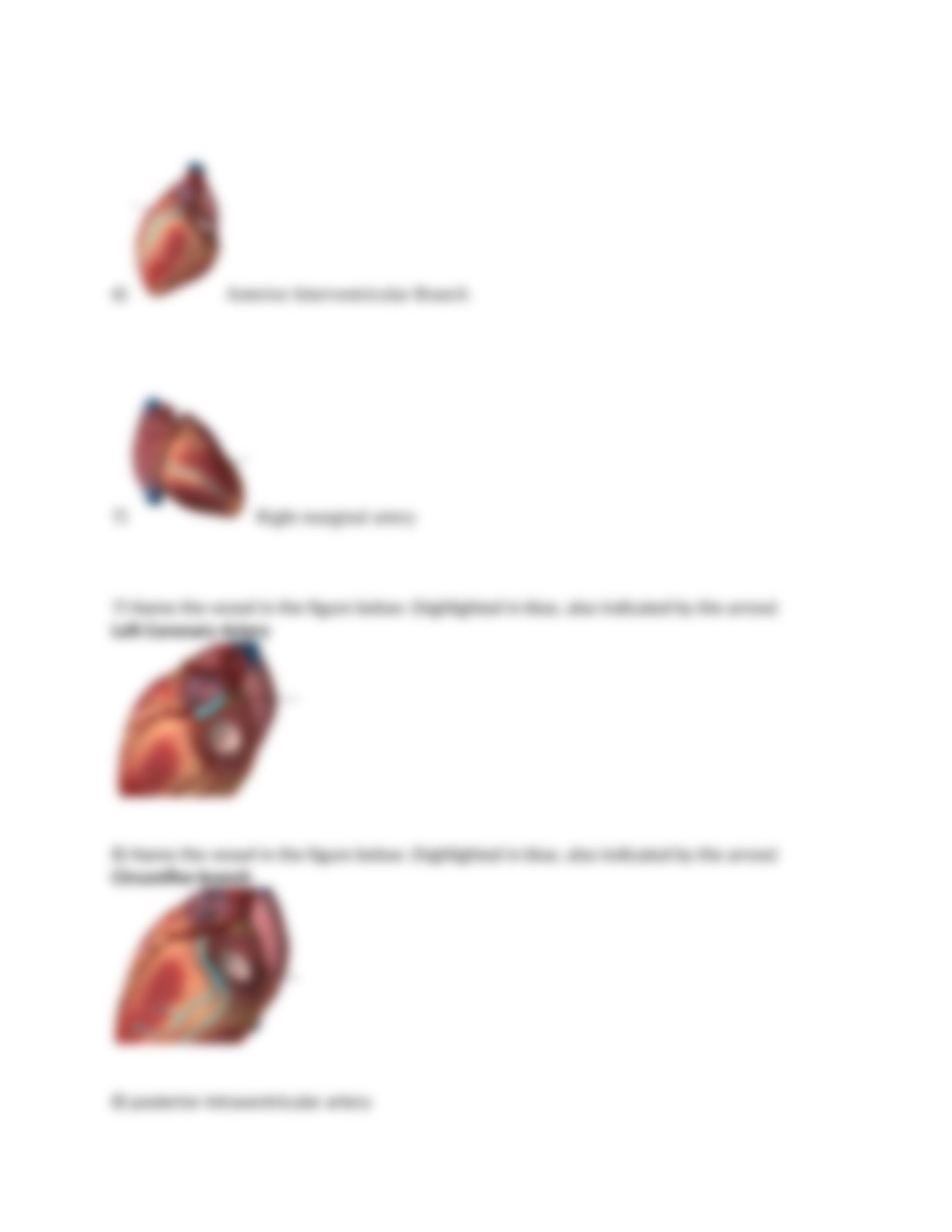 BIod 152 Module 4 Exam Questions.docx_d5g5105qdjy_page3