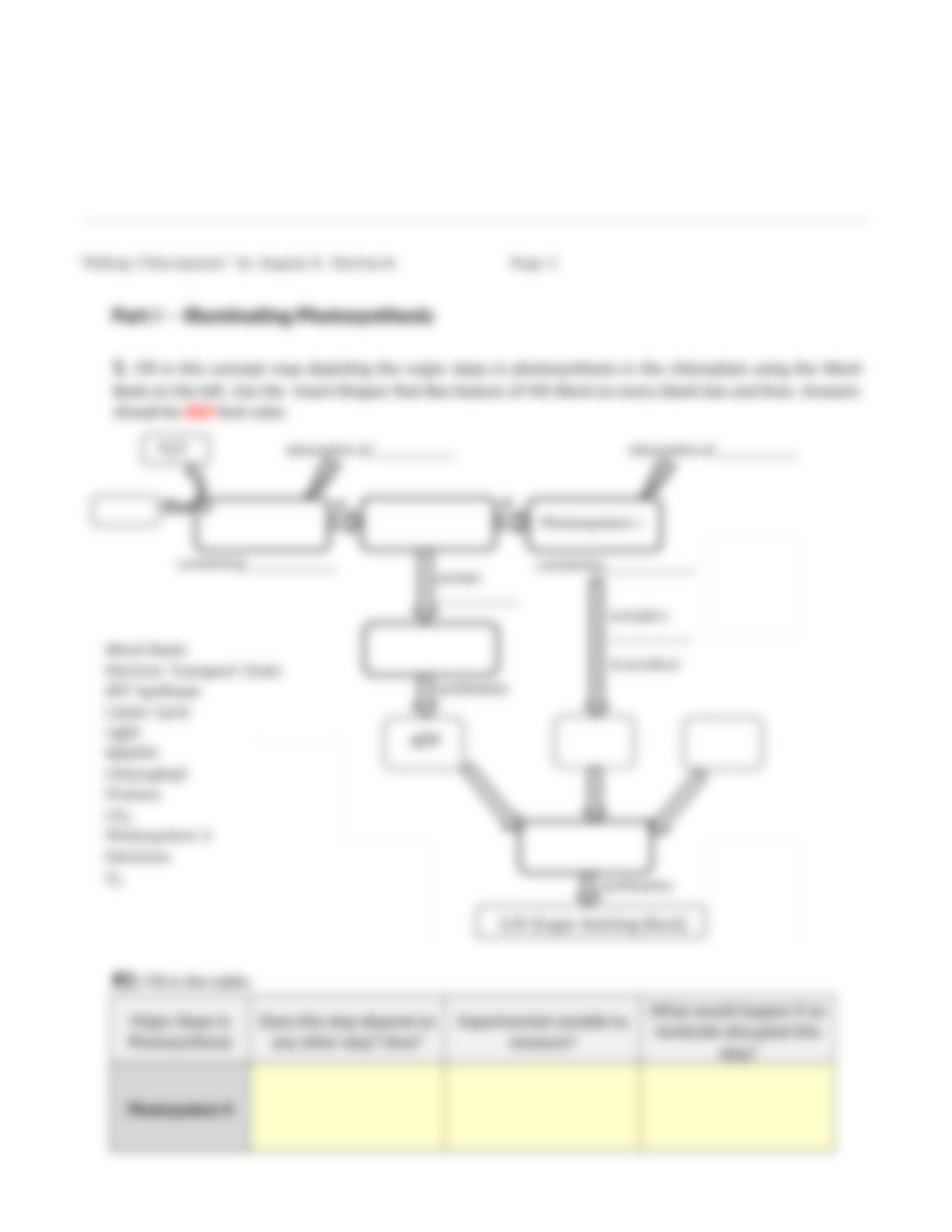 12 Case Study Killing Chloroplasts.docx_d5iuc1csldh_page3