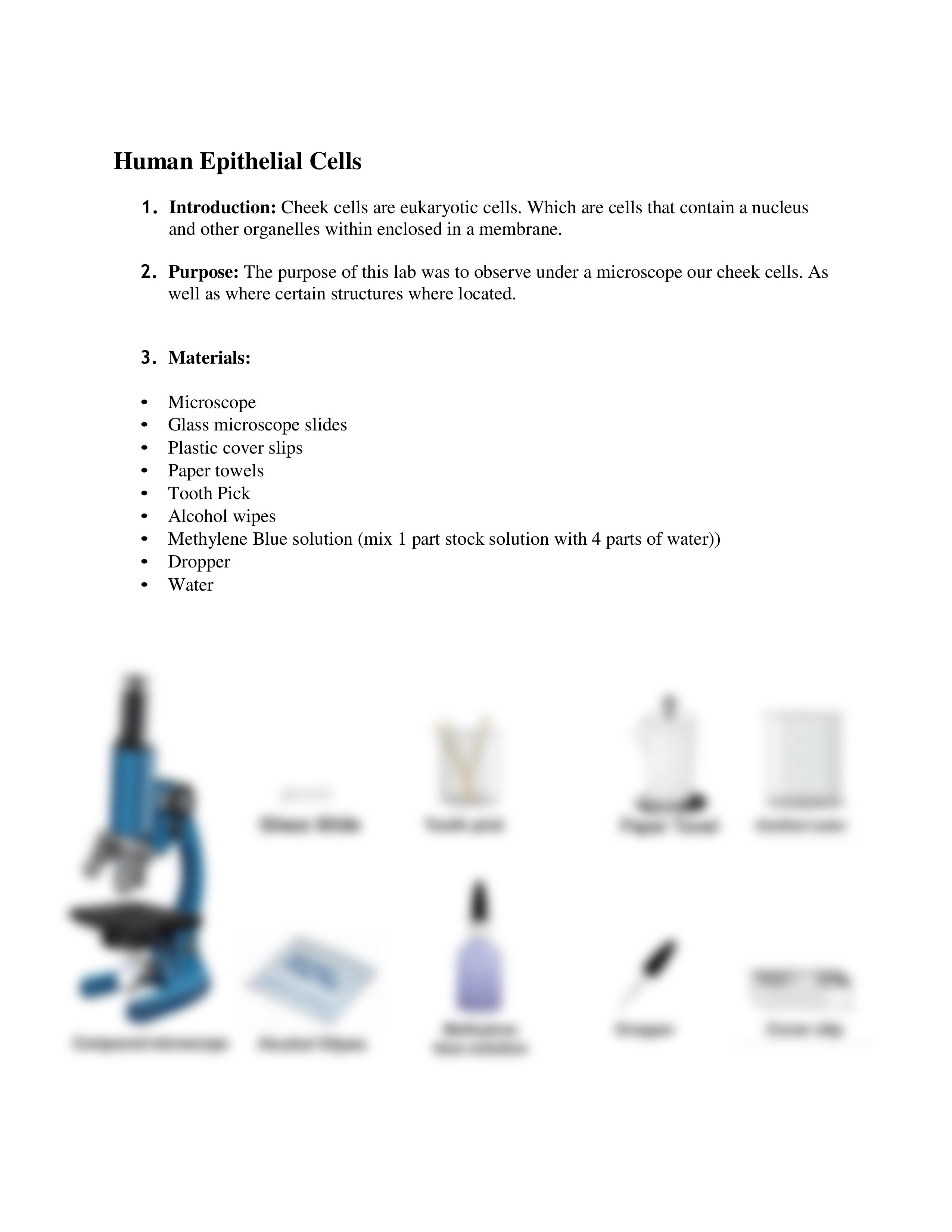 Biology Lab Reports.pdf_d5l67f464ch_page2