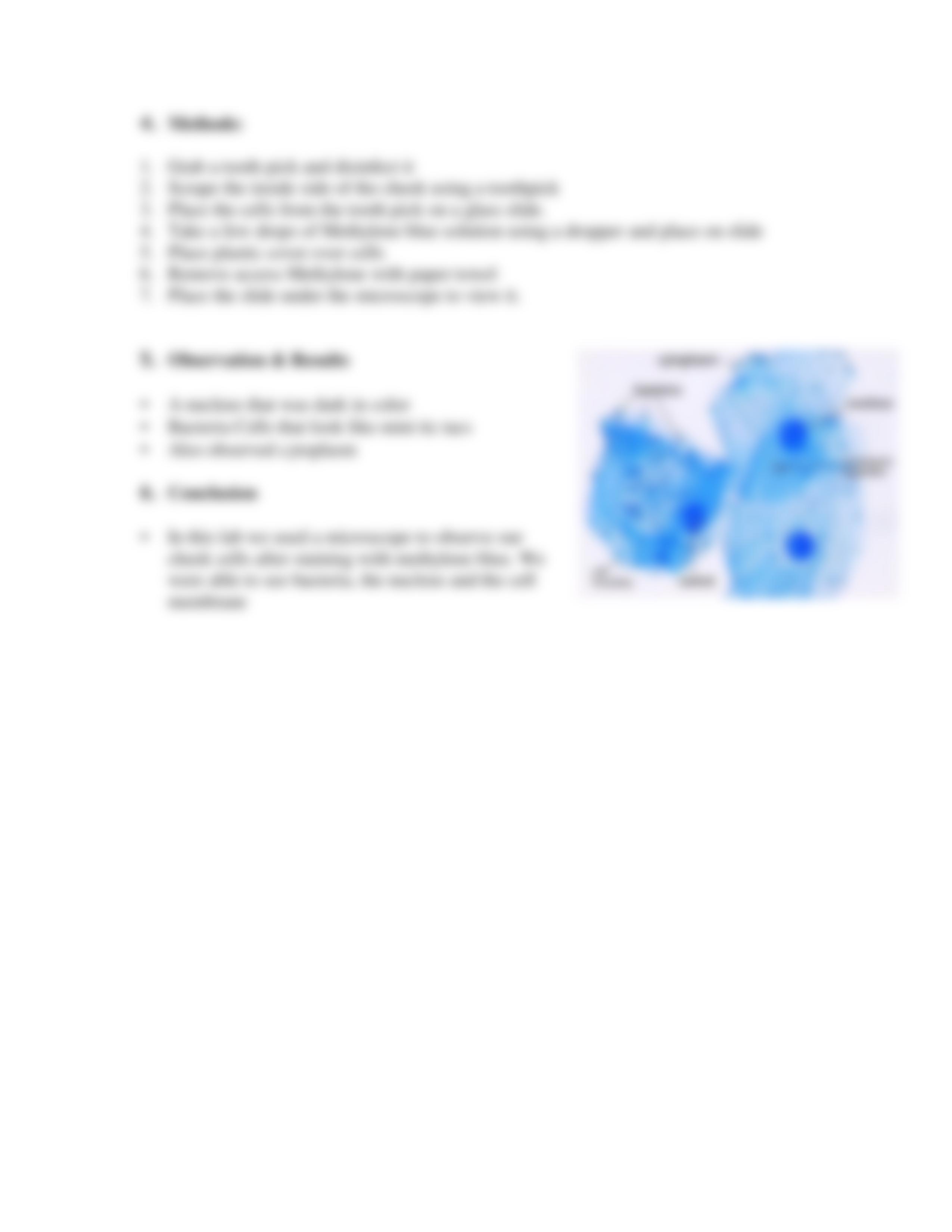 Biology Lab Reports.pdf_d5l67f464ch_page3