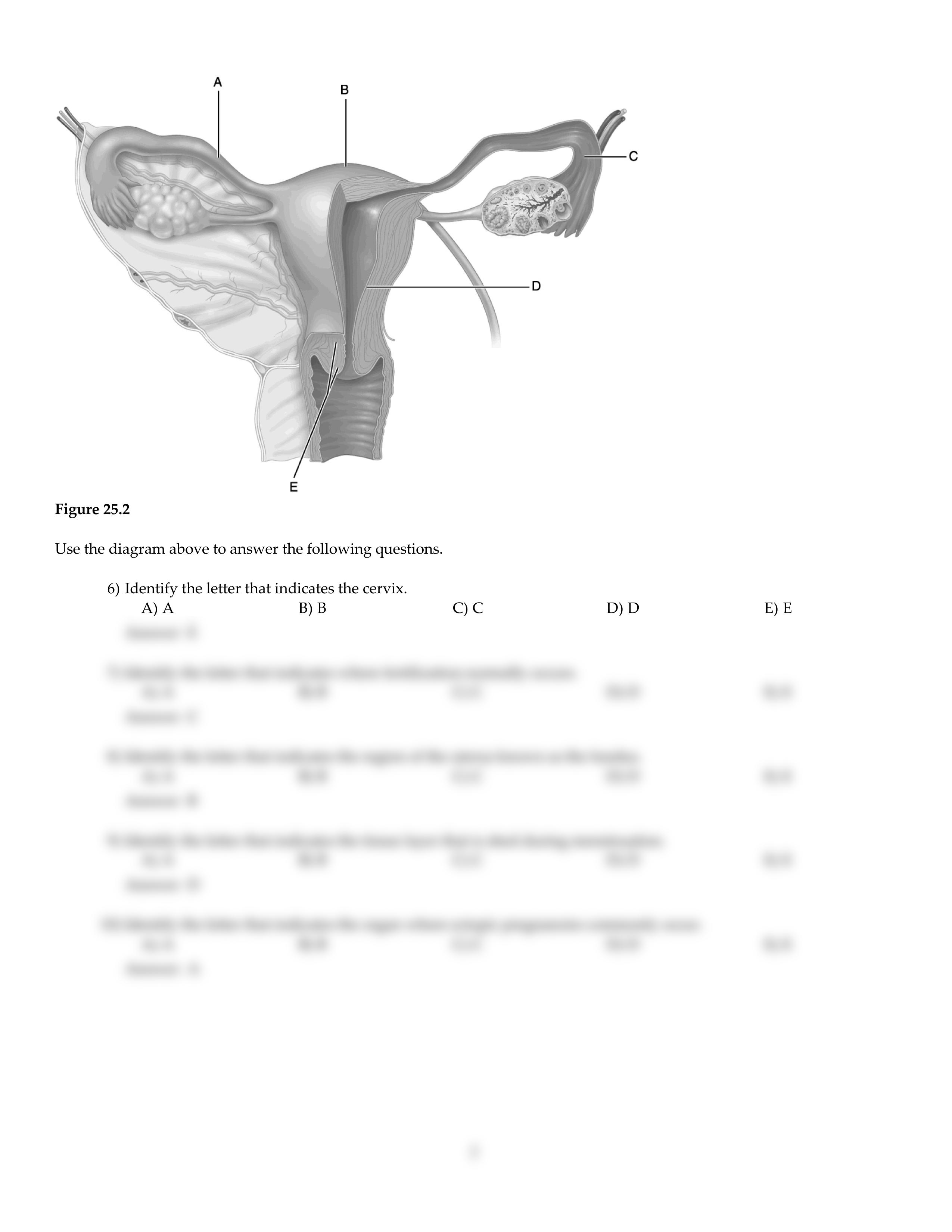 CH25.pdf_d5lpobk1t8d_page2