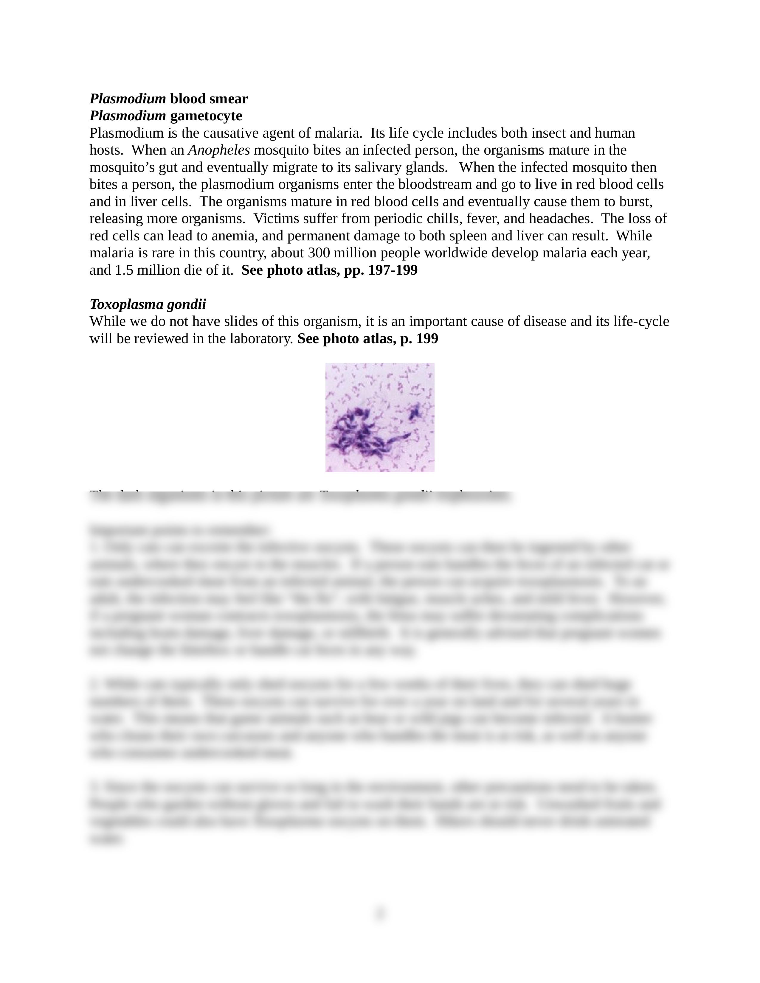 Chapter 19 Protozoans_d5ph0vm4sz0_page2