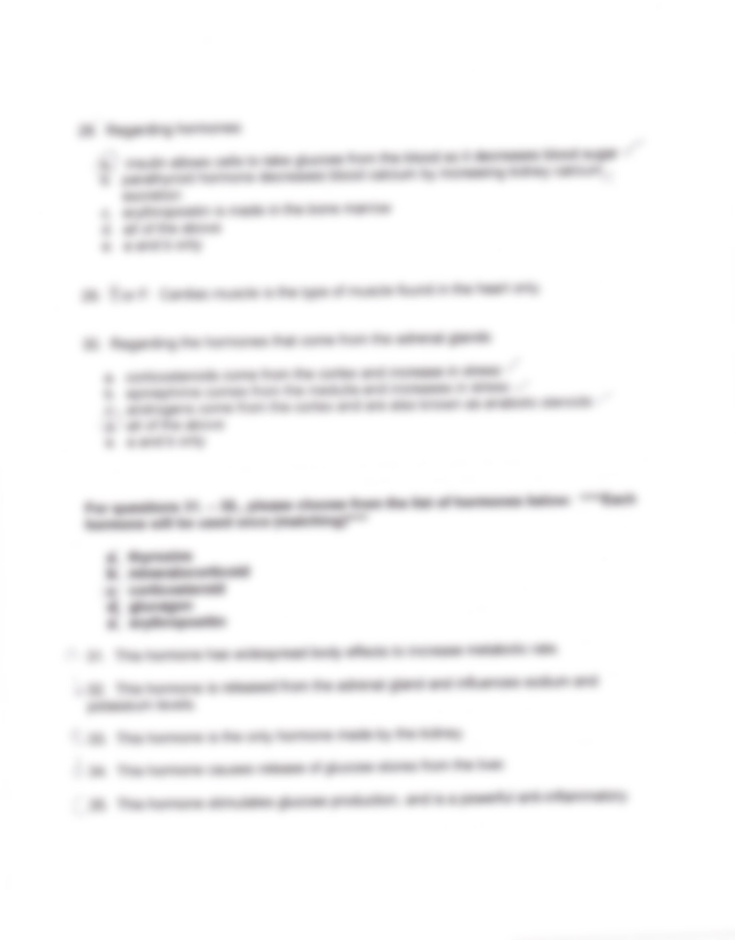 Anatomy and physiology 2012 exam 3_d5rft566lxb_page4