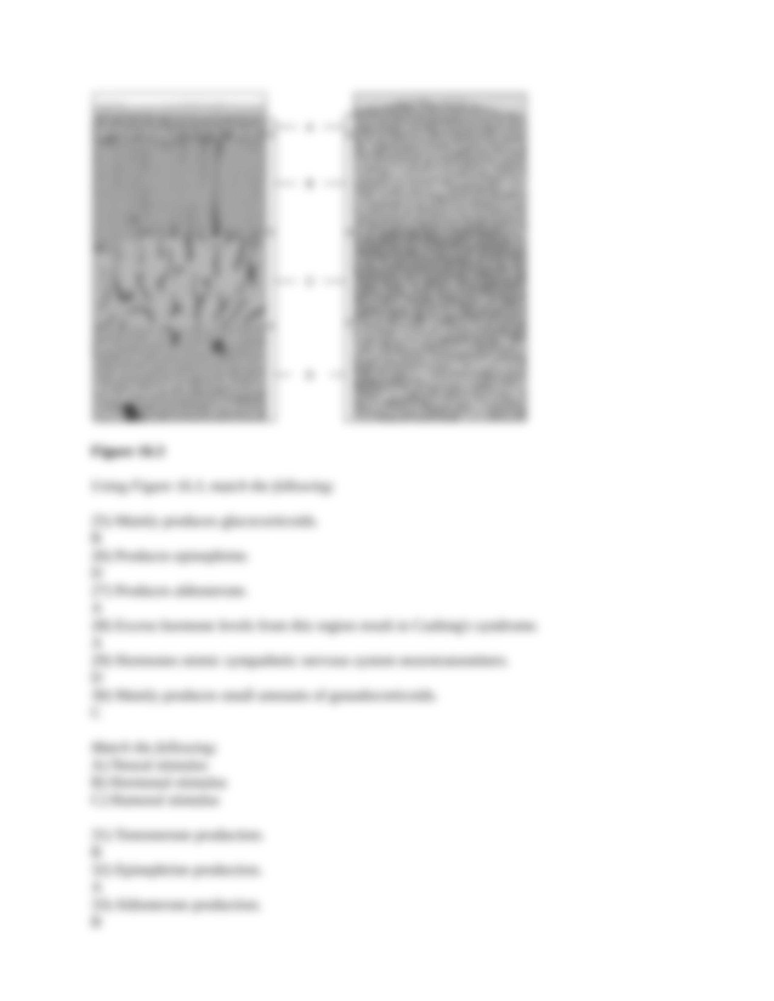 Chapter 16_worksheet (Answer Key).docx_d5x2piydnfh_page4