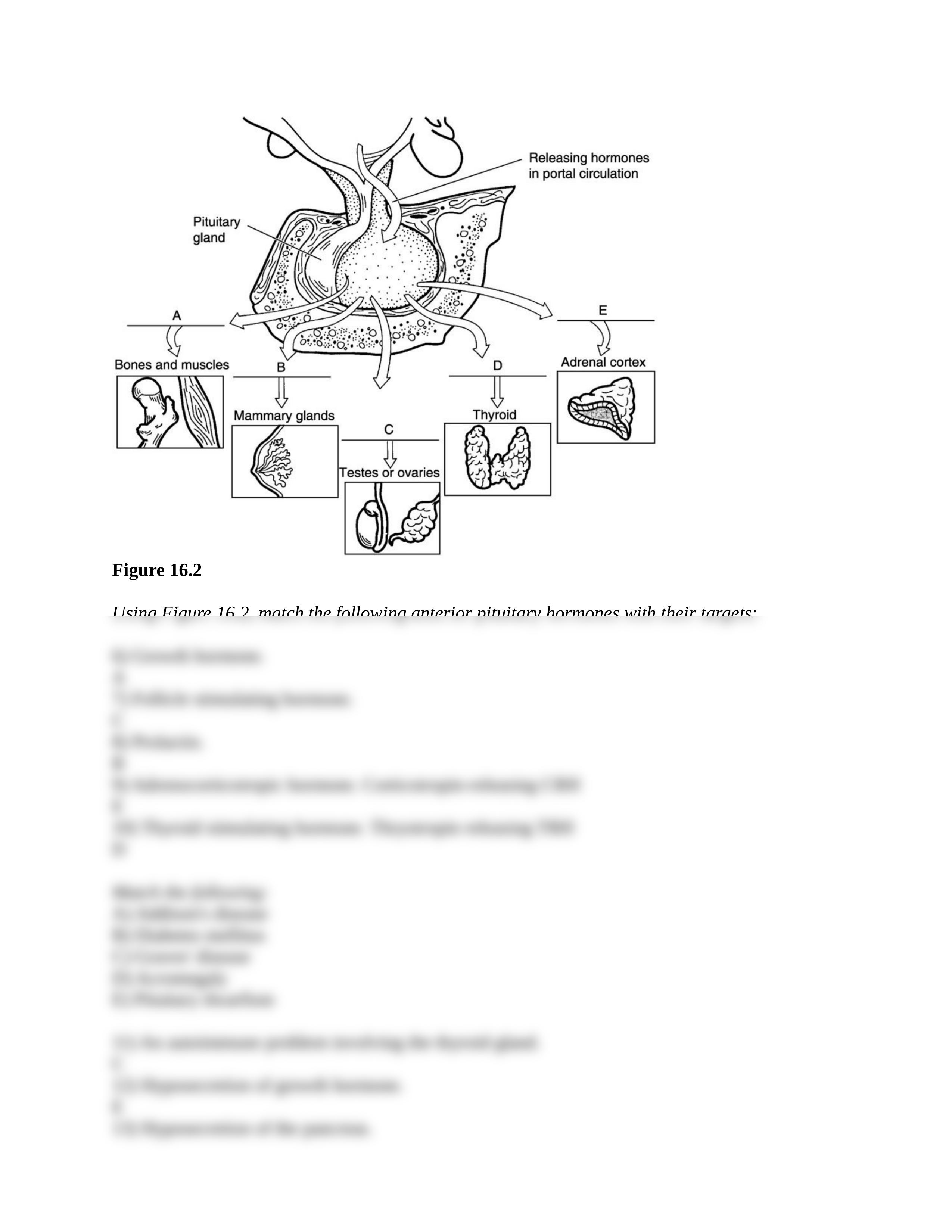 Chapter 16_worksheet (Answer Key).docx_d5x2piydnfh_page2