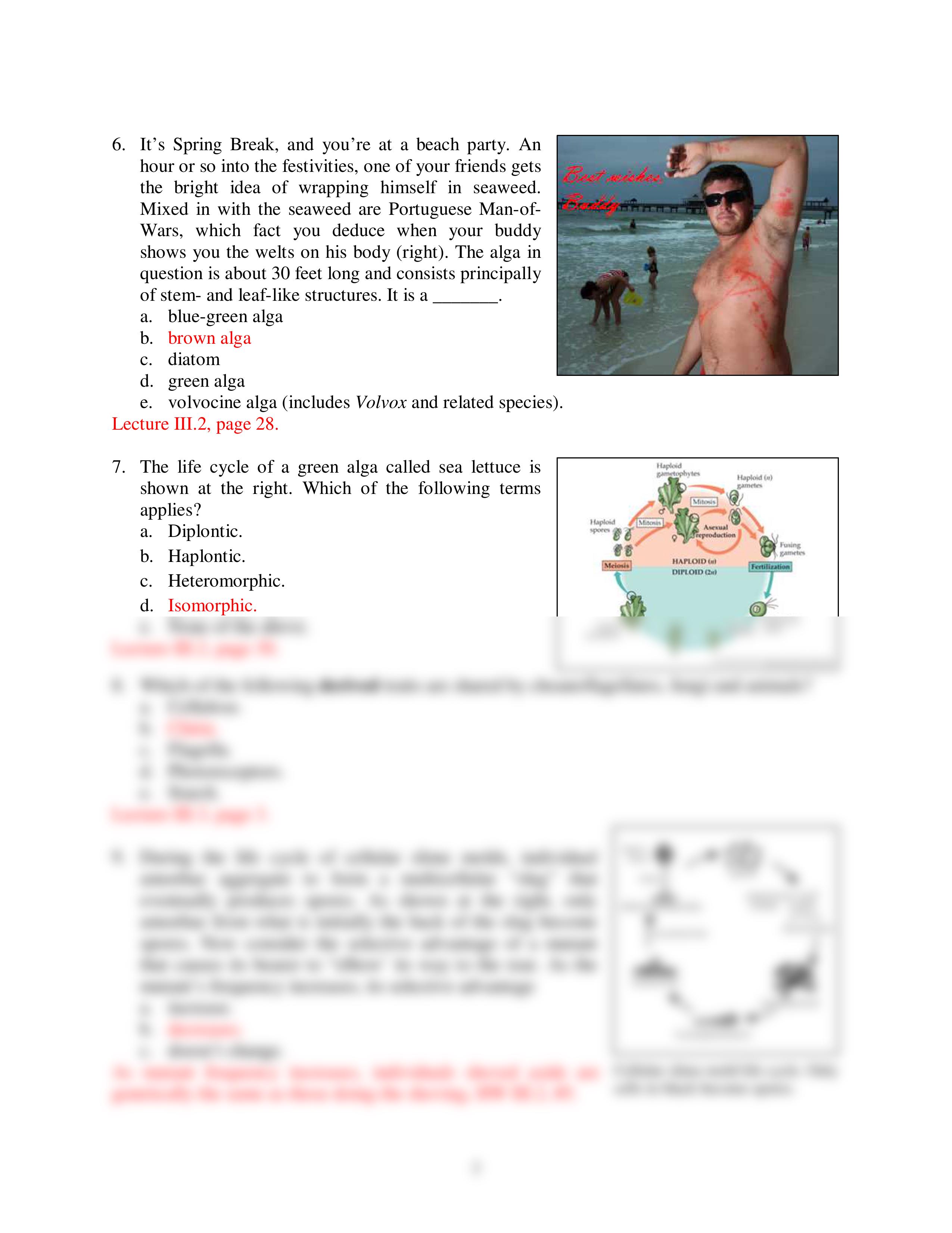 Exam 3 Answers(1).pdf_d6c24ppd5au_page2