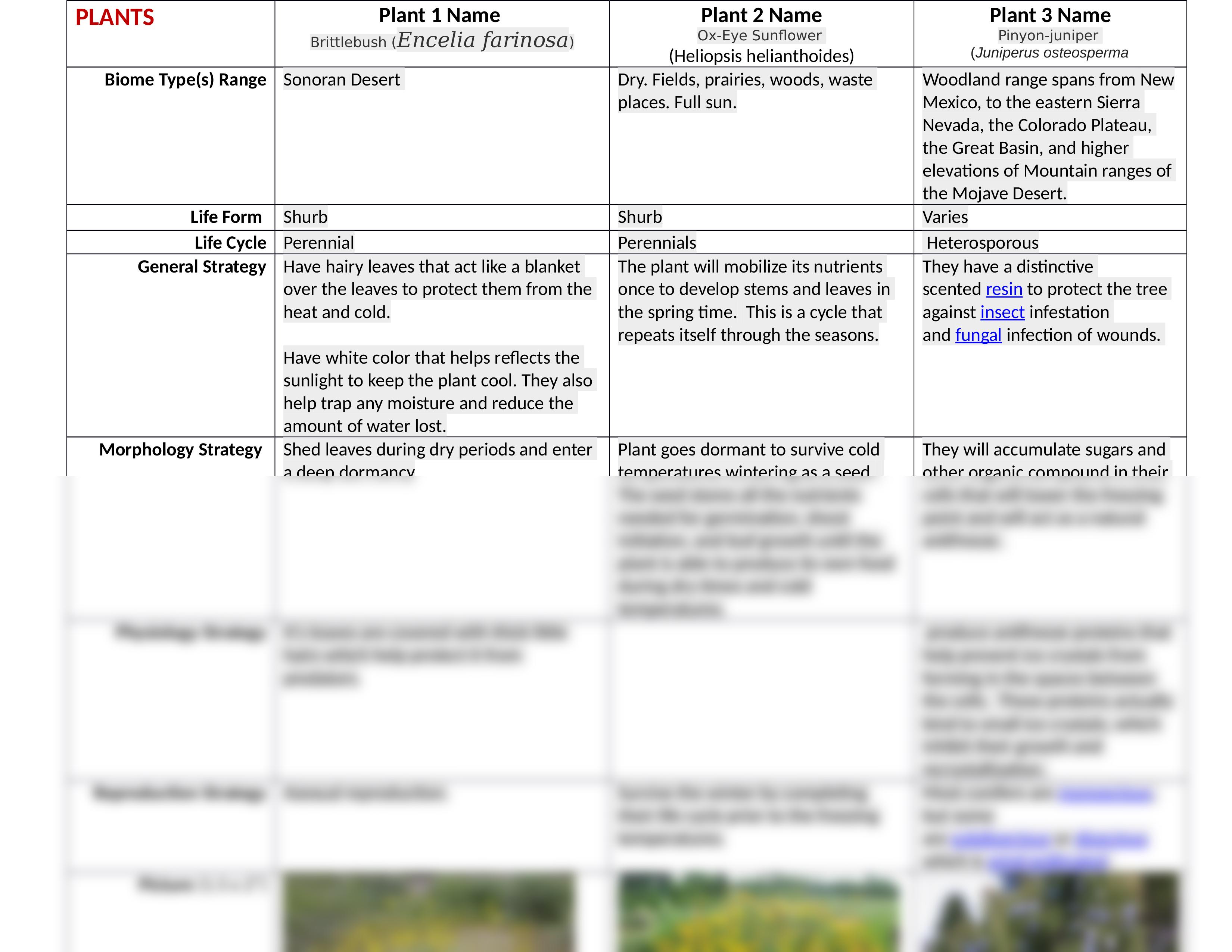 Assignment 3 Plant and Animal Adaptations.docx_d6ed2b5l74t_page2