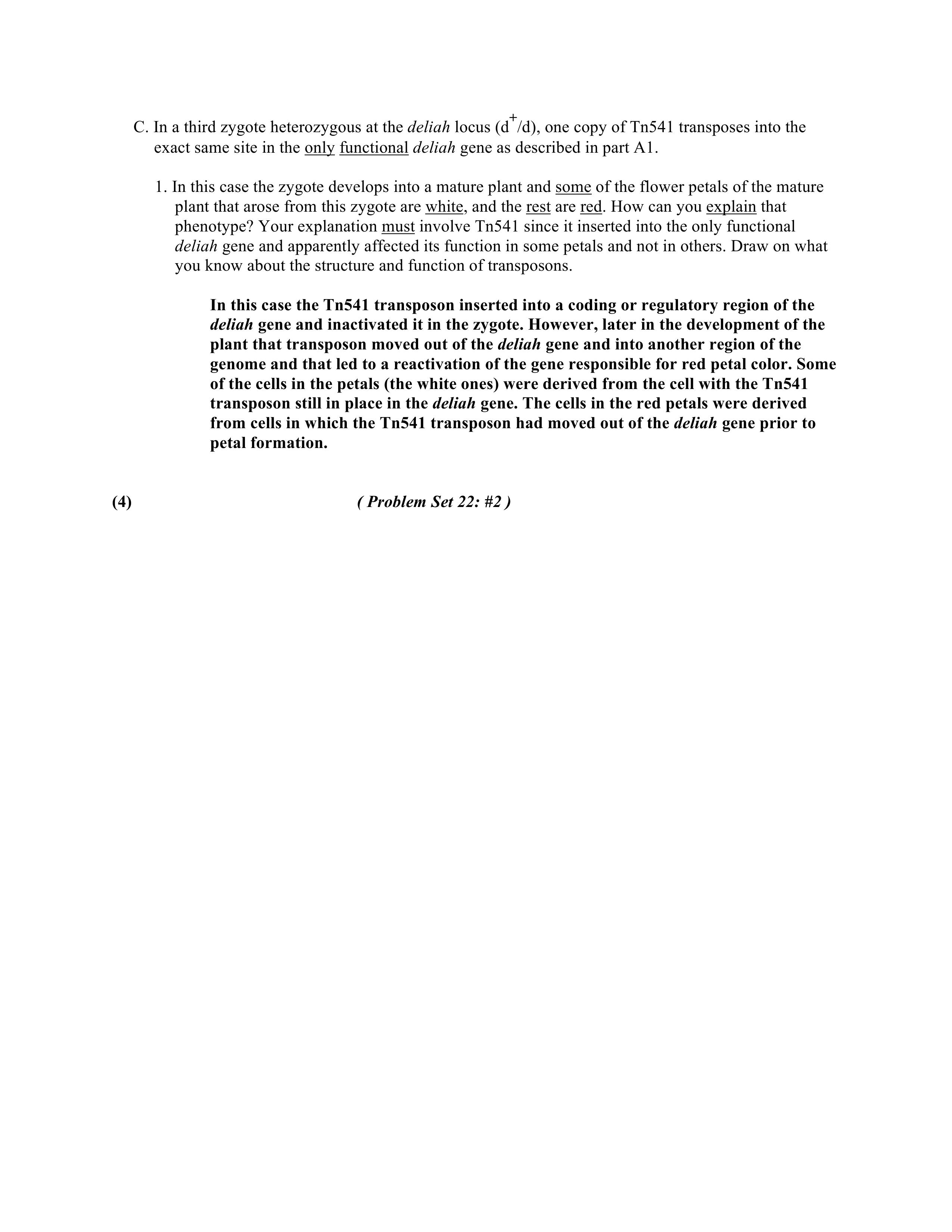 final exam fall 2009_d6g1hhs2fbf_page2