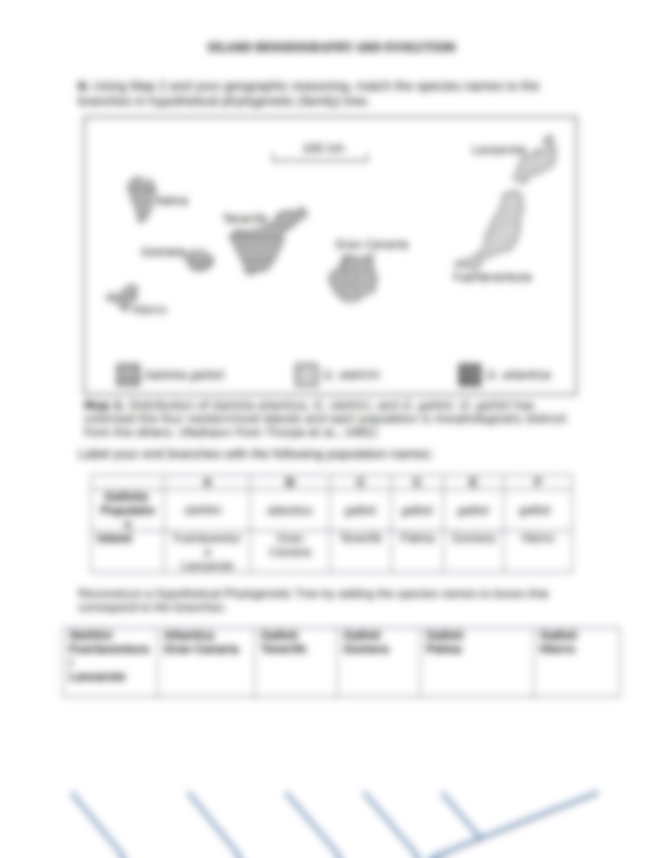 Biogeography_WORKSHEET.docx_d6hu44p0eul_page3