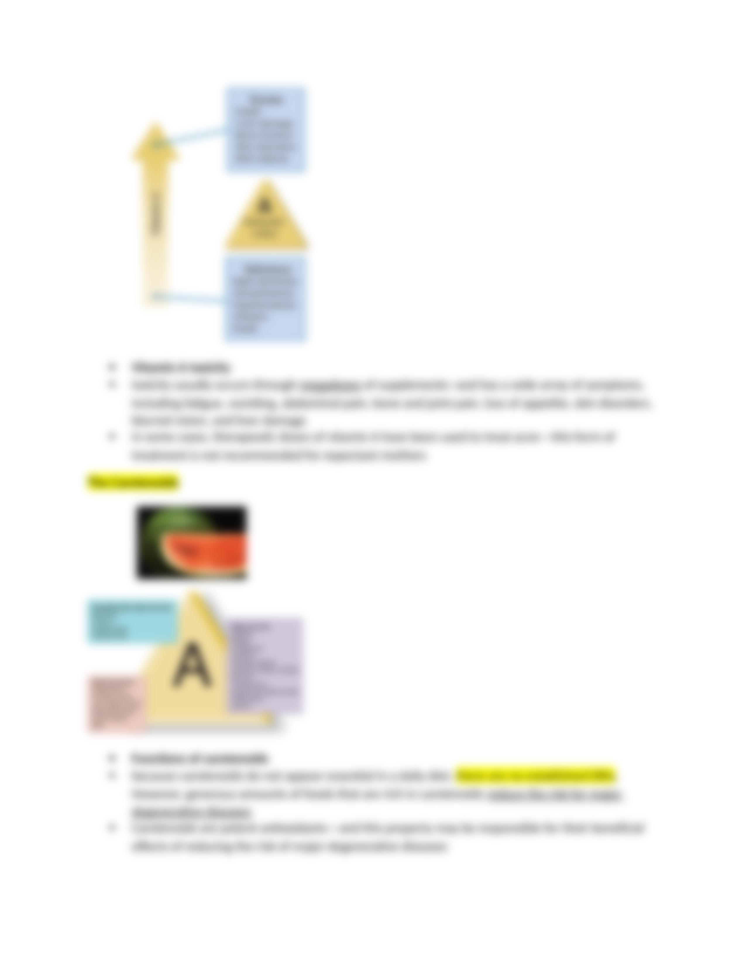 Chapter%209%20Notes%20Vitamins.docx_d6ilbkse365_page3